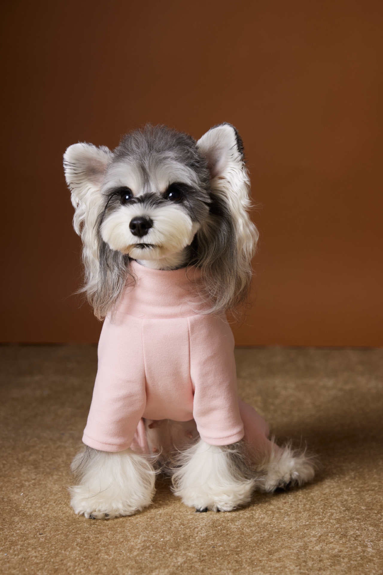 Warm Four-Leg Dog Jumpsuit