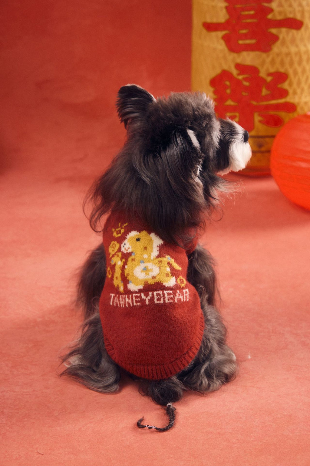 Striped Pony Knit Vest