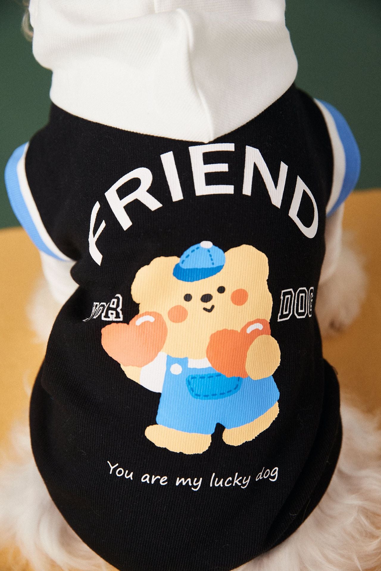 Colorblock Hoodie Sweatshirt