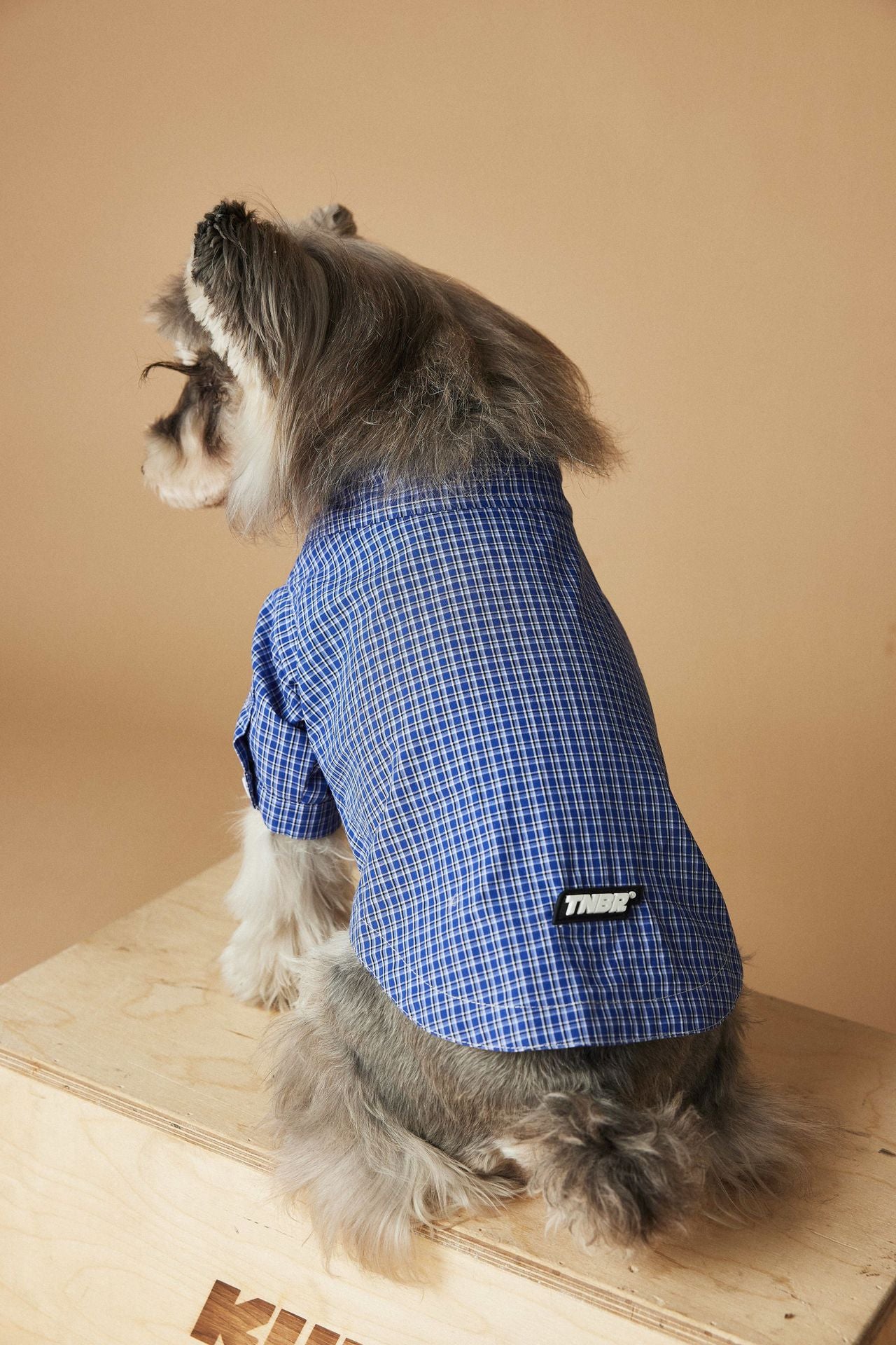 Plaid Button-Up Dog Shirt with Collar
