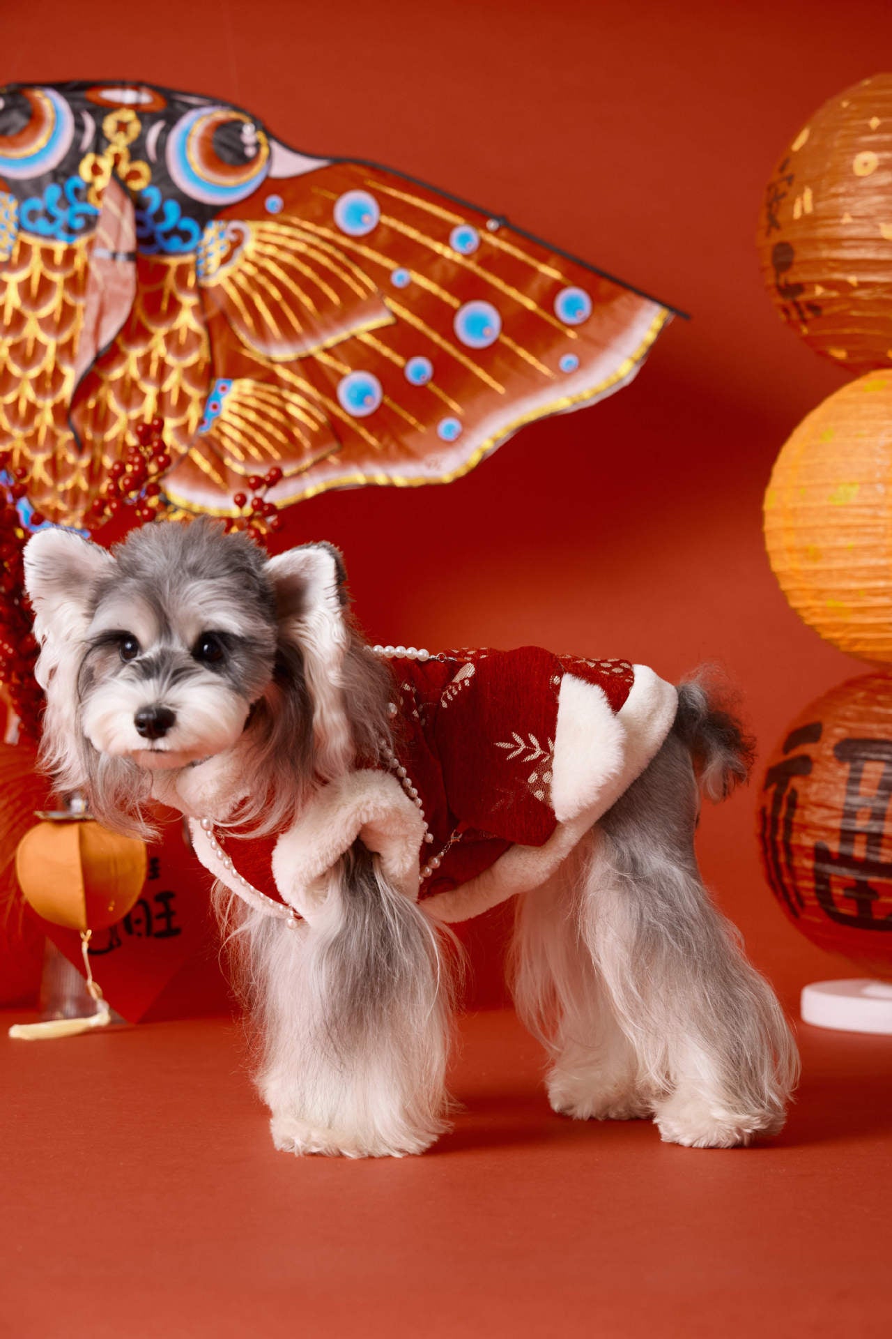 Lunar New Year Plush Brocade Coat