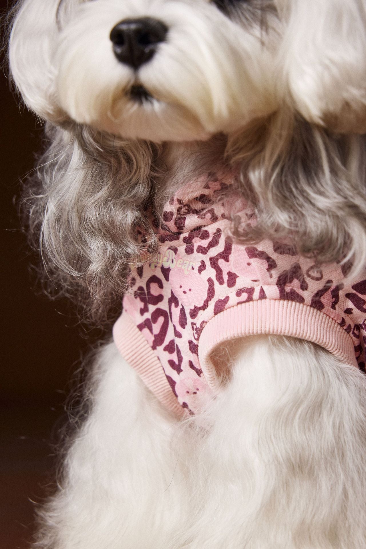 Leopard Print Dog Hoodie Vest