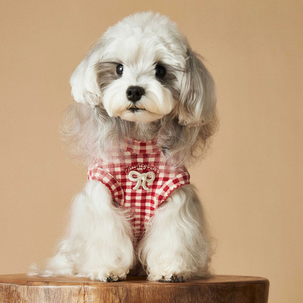 Red Gingham Bear Patch Dog Vest