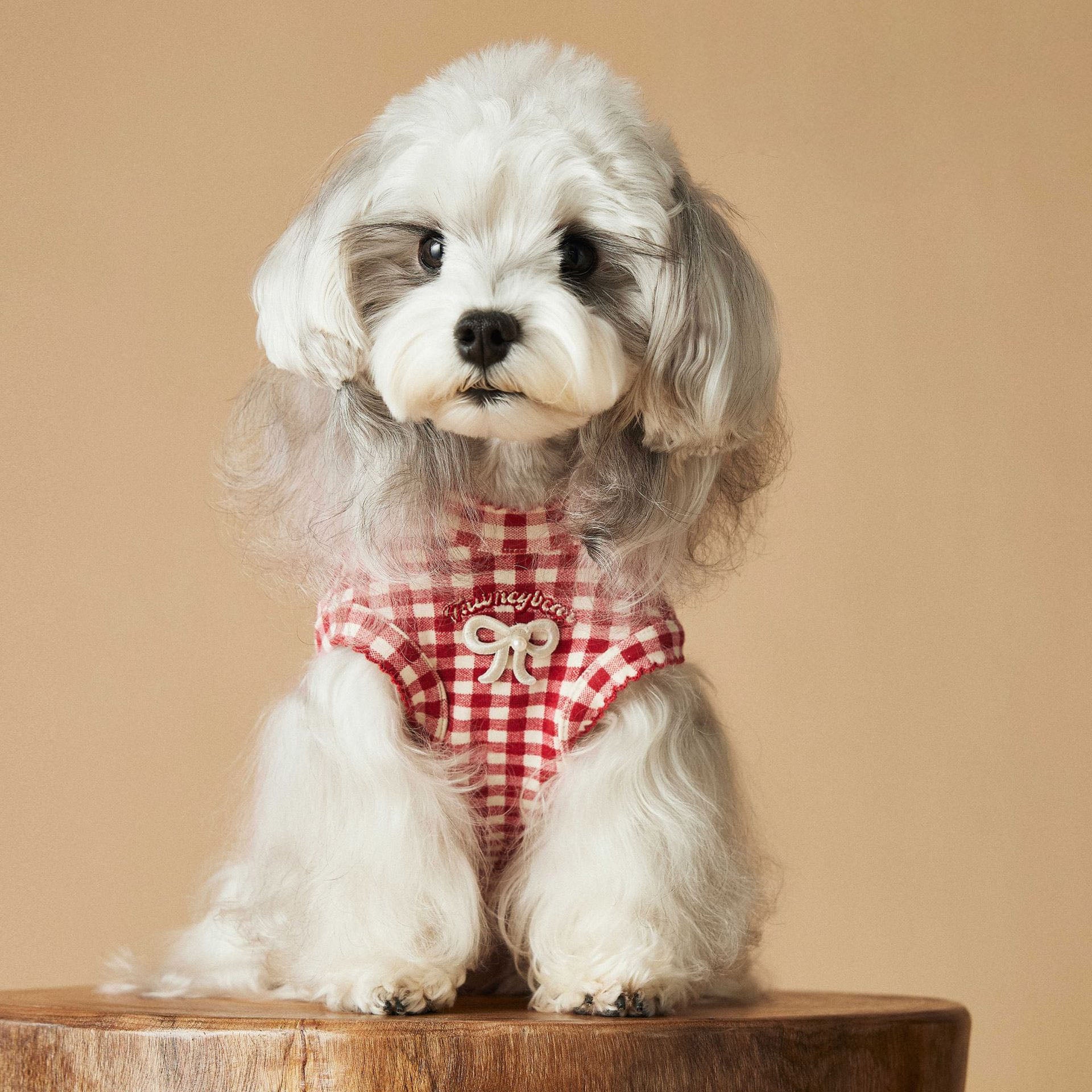Red Gingham Bear Patch Dog Vest