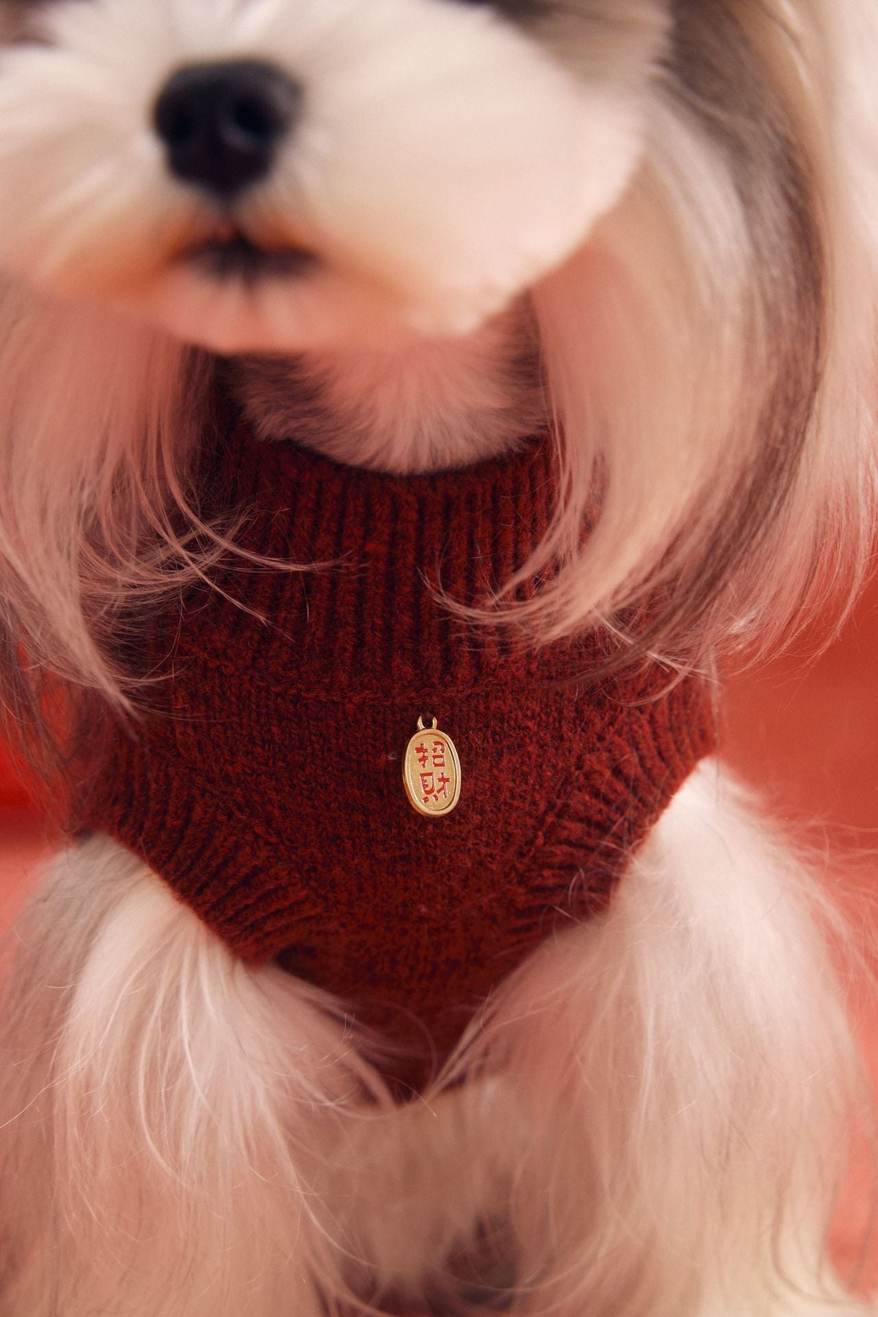 Lucky Pony Knit Sweater Vest