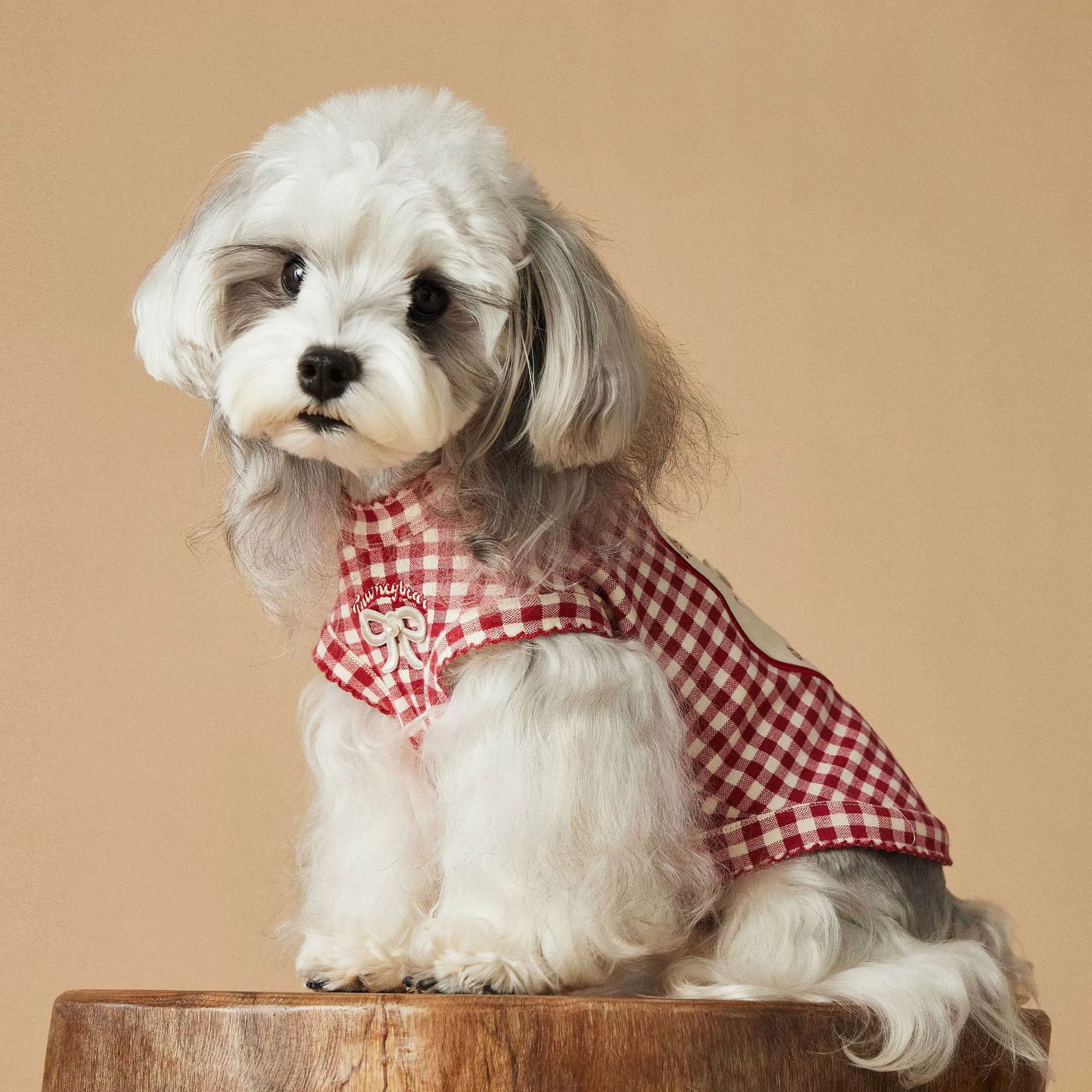 Red Gingham Bear Patch Dog Vest