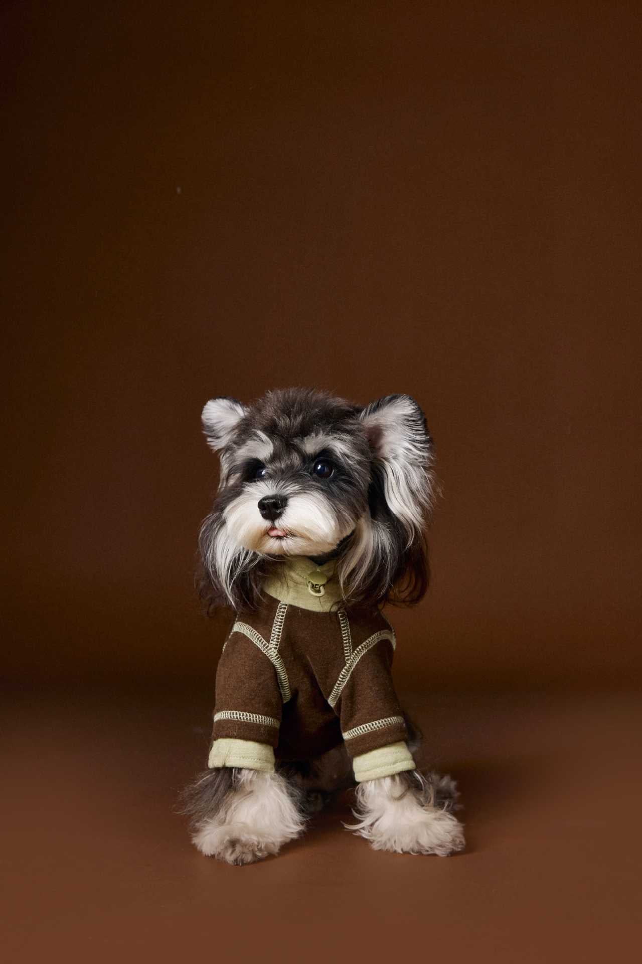 Soft Rose-Mocha Lounge Jumpsuit