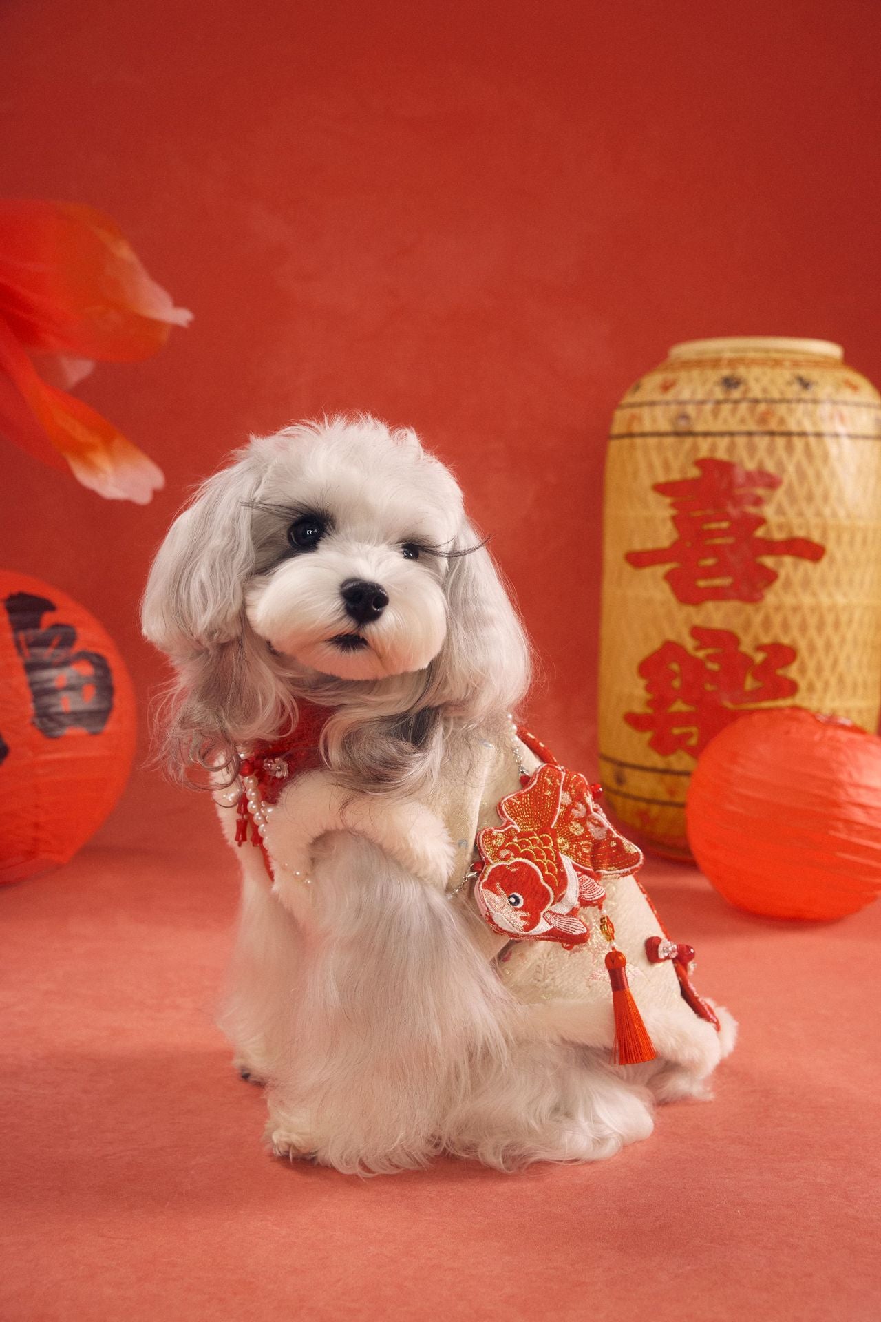 Festive Goldfish Brocade New Year Vest