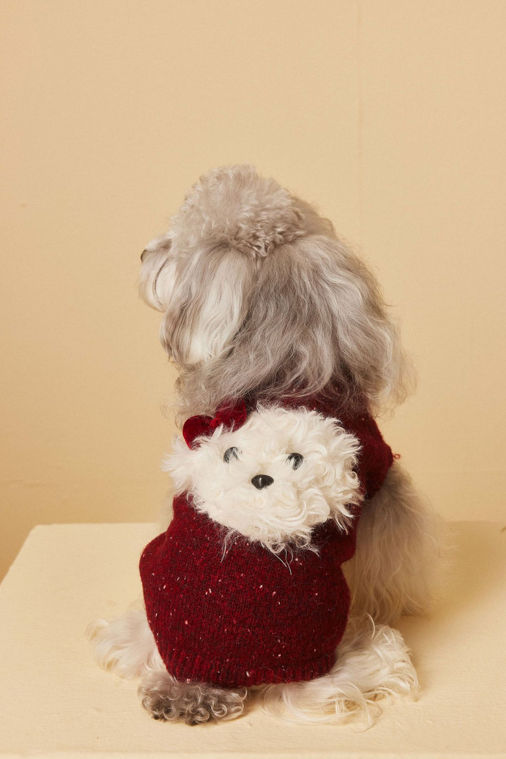 Red Knit Sweater with Puppy Patch