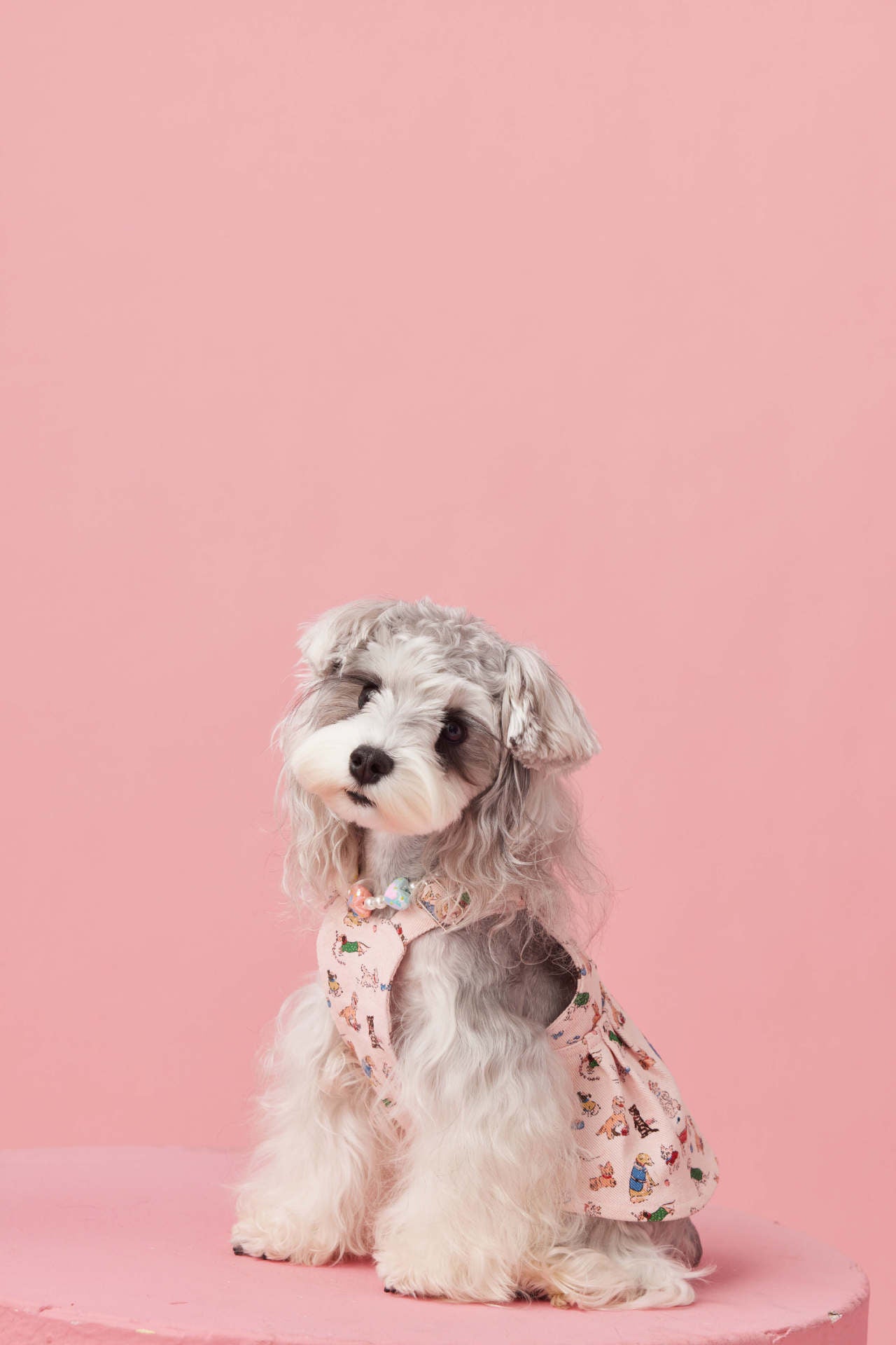 Denim Puppy Print Dress