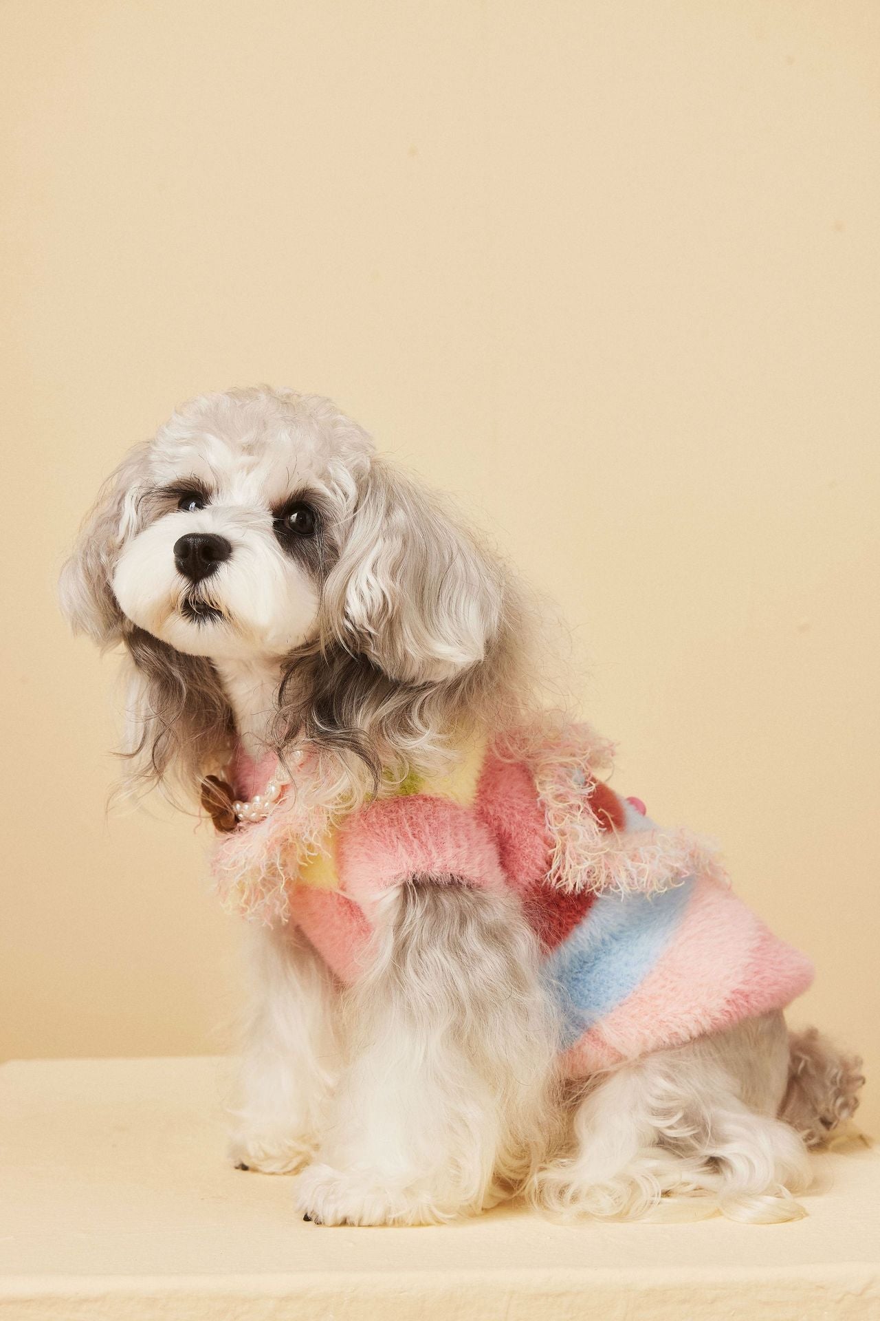 Sweetheart Fringe Sweater