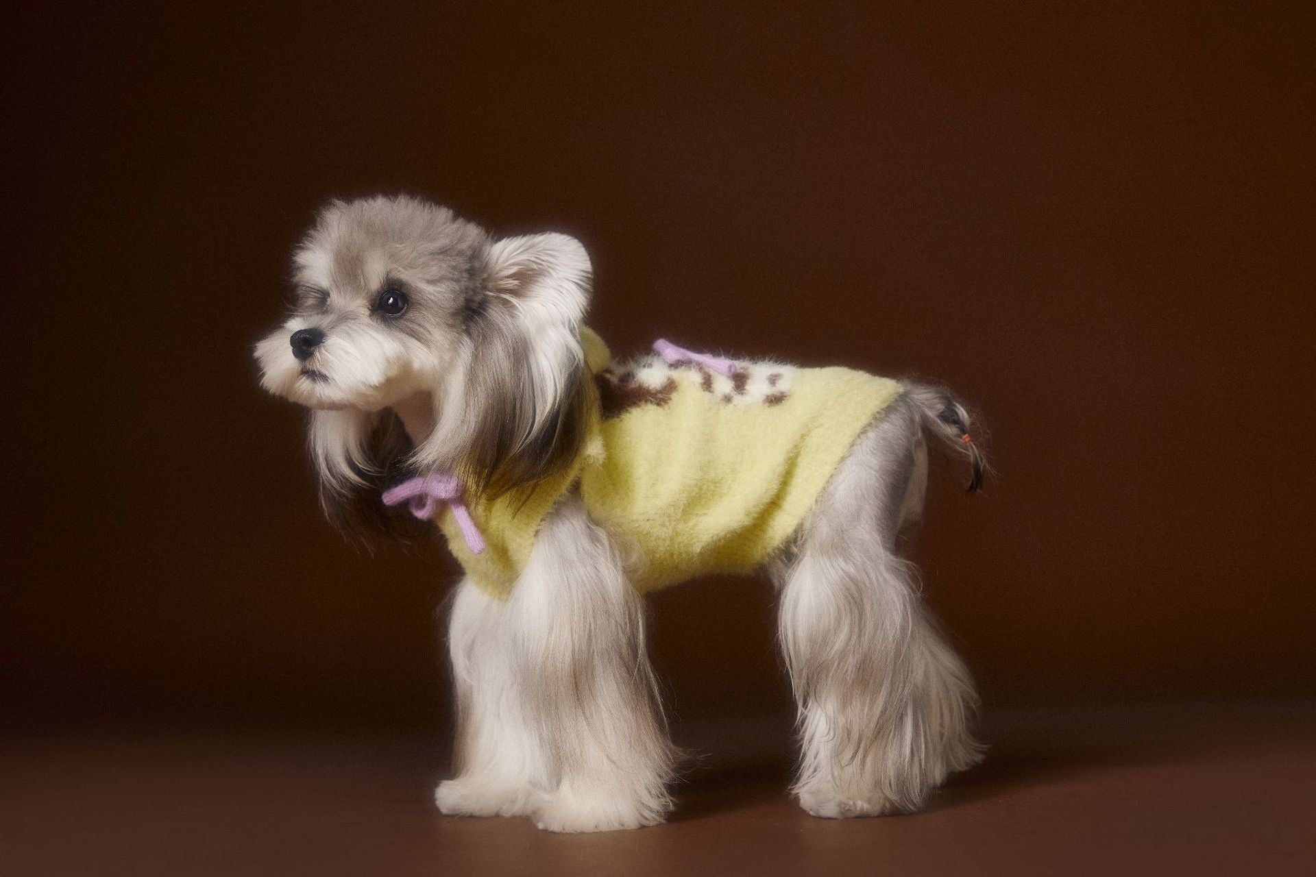 Spotted Pup Fuzzy Hooded Vest