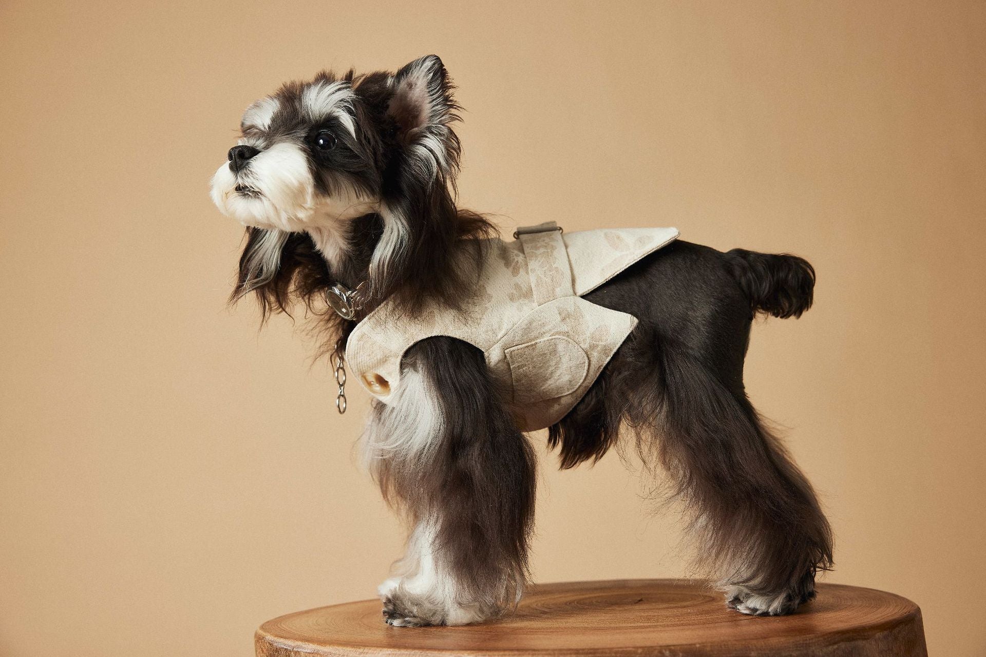 Ivory Gentleman Suit Vest