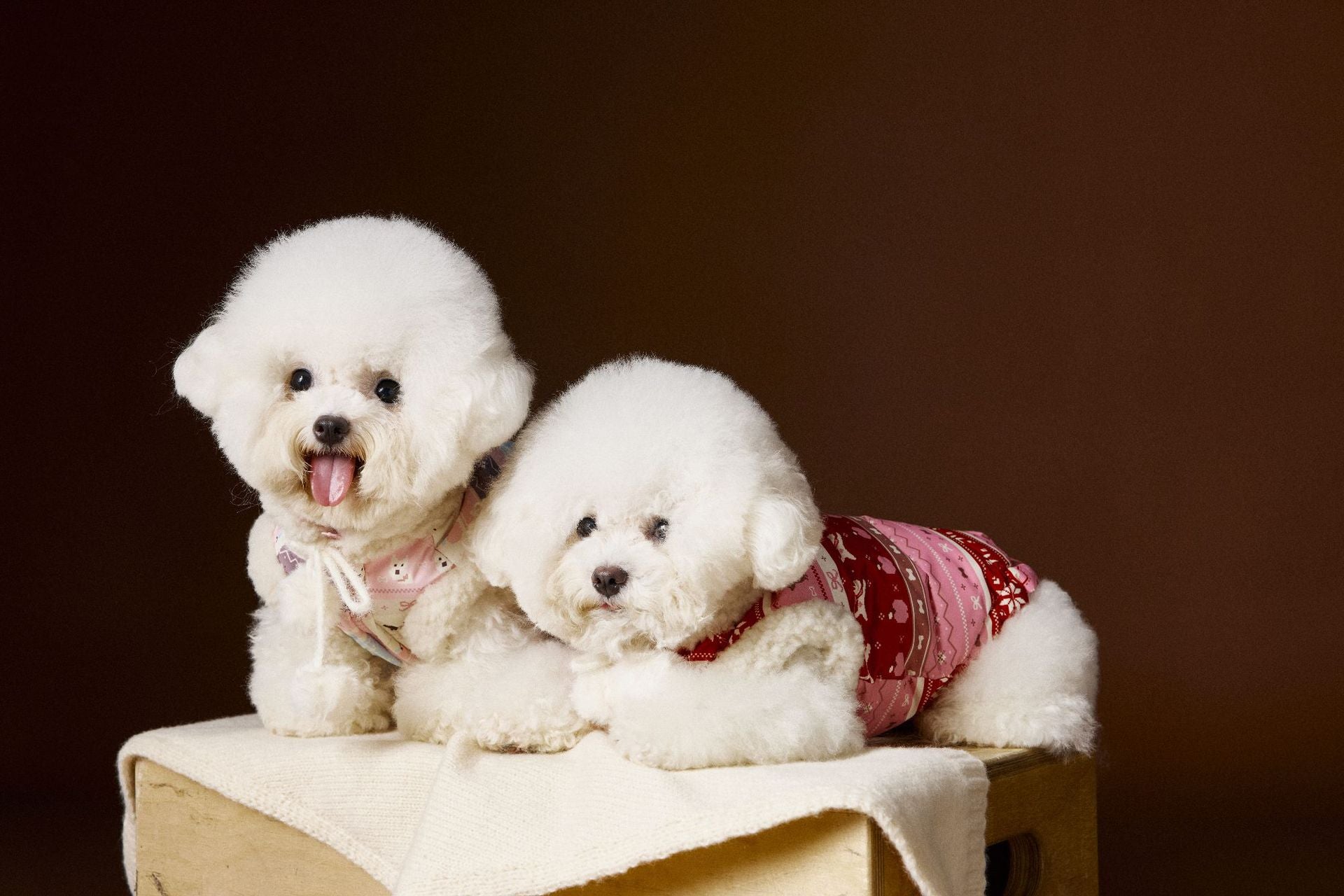 Fair Isle Reindeer Puffer Vest Warm Fleece Dog Winter Jacket