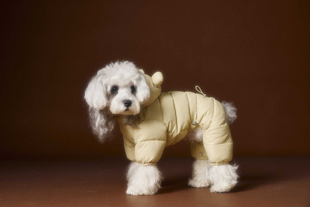 Teddy Ear Puffer Jumpsuit