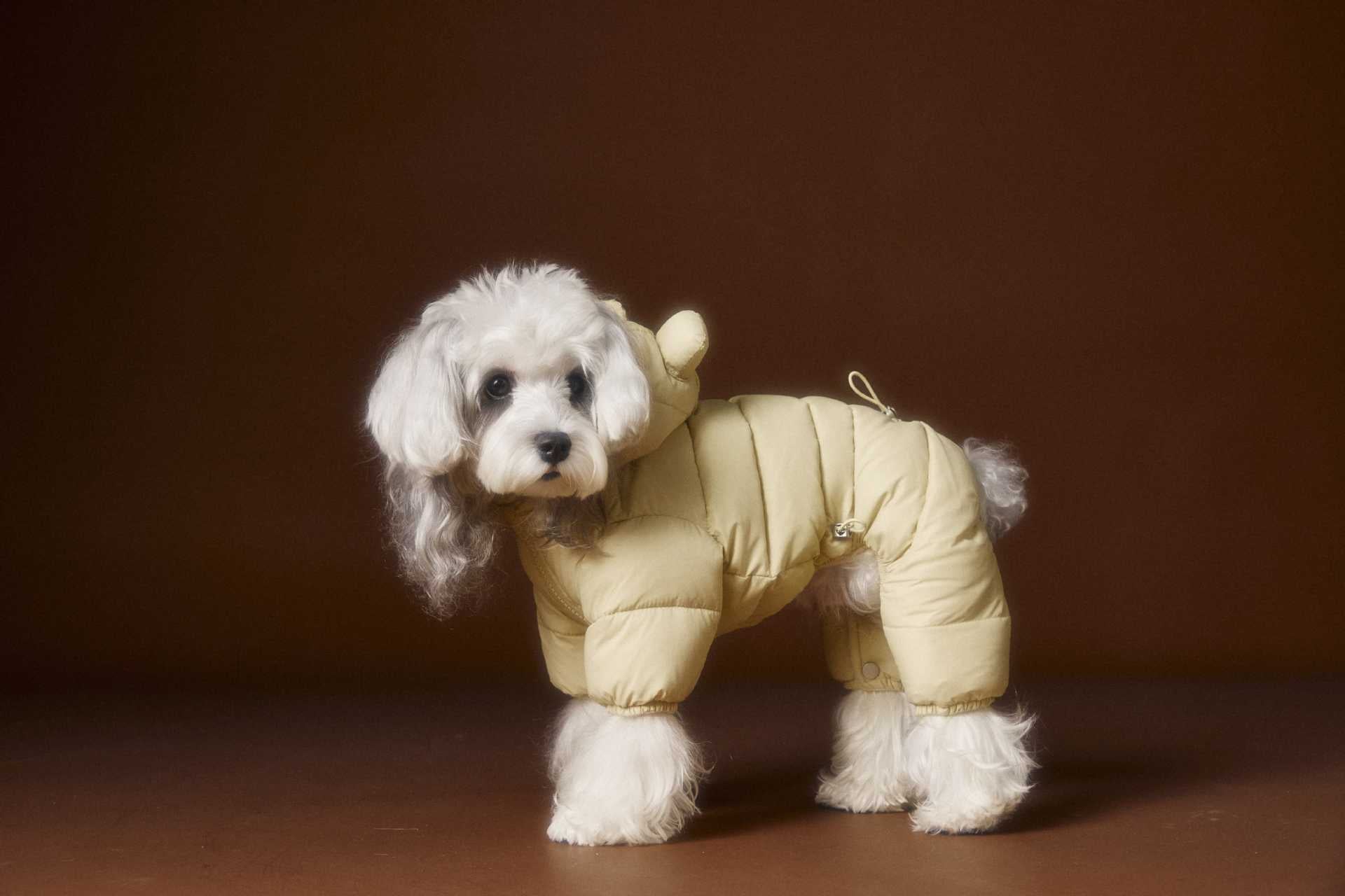 Teddy Ear Puffer Jumpsuit