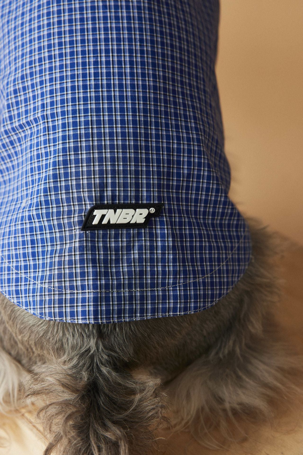 Plaid Button-Up Dog Shirt with Collar