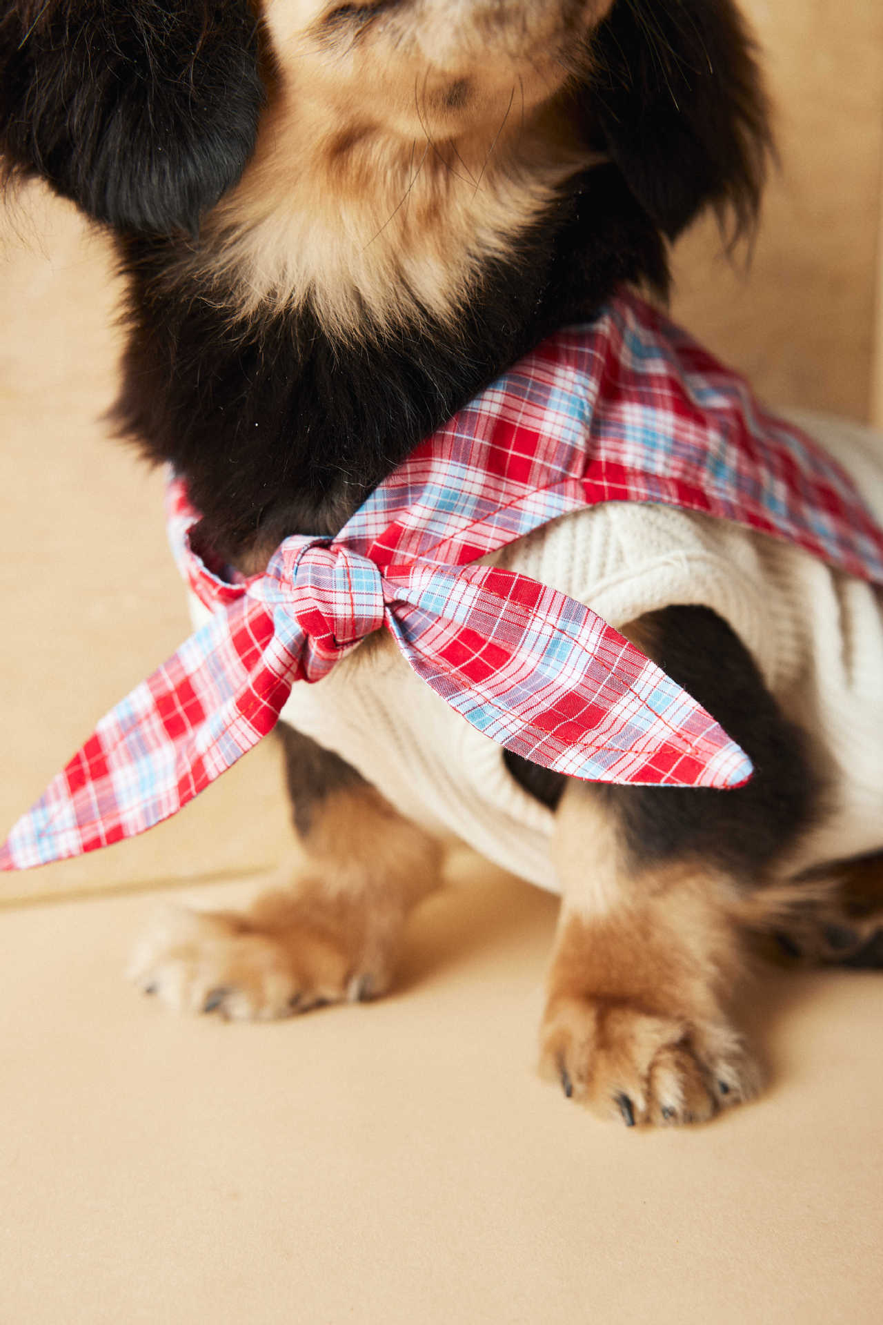 Plaid Collar Sleeveless Knit Vest