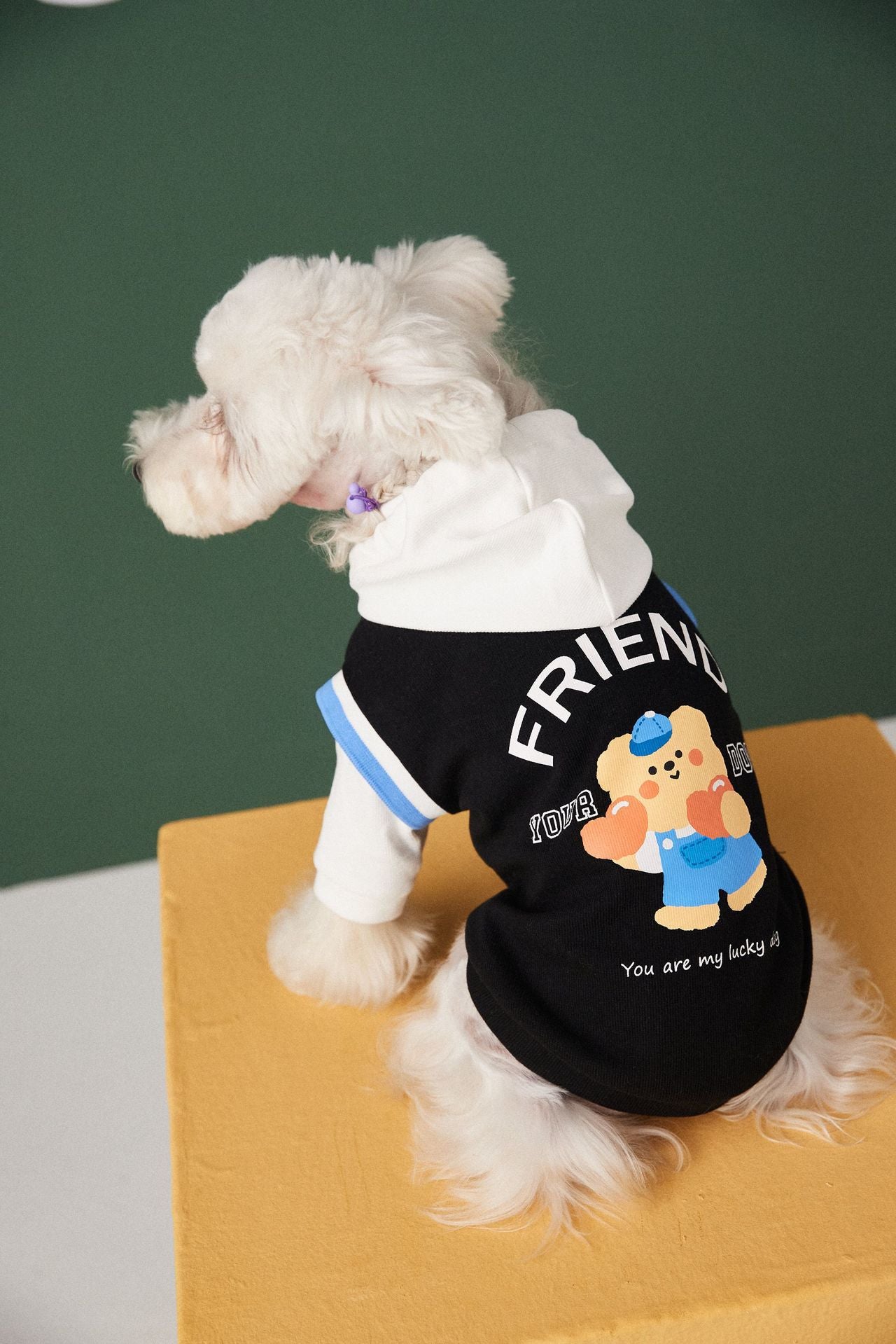 Colorblock Hoodie Sweatshirt