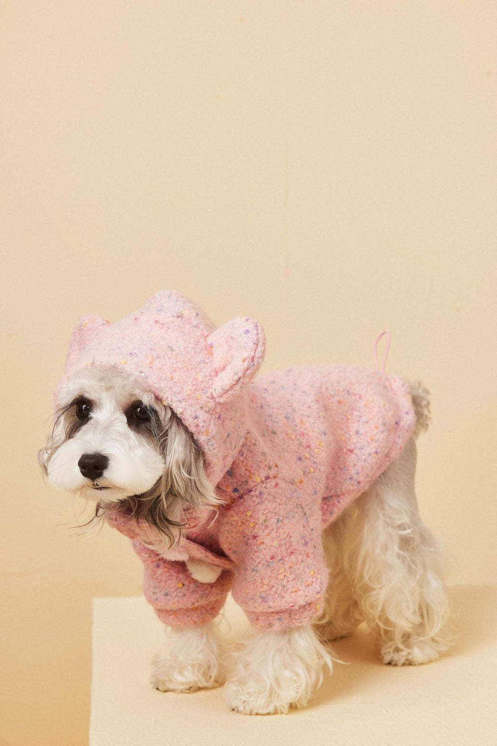 Teddy Ear Wool Hoodie