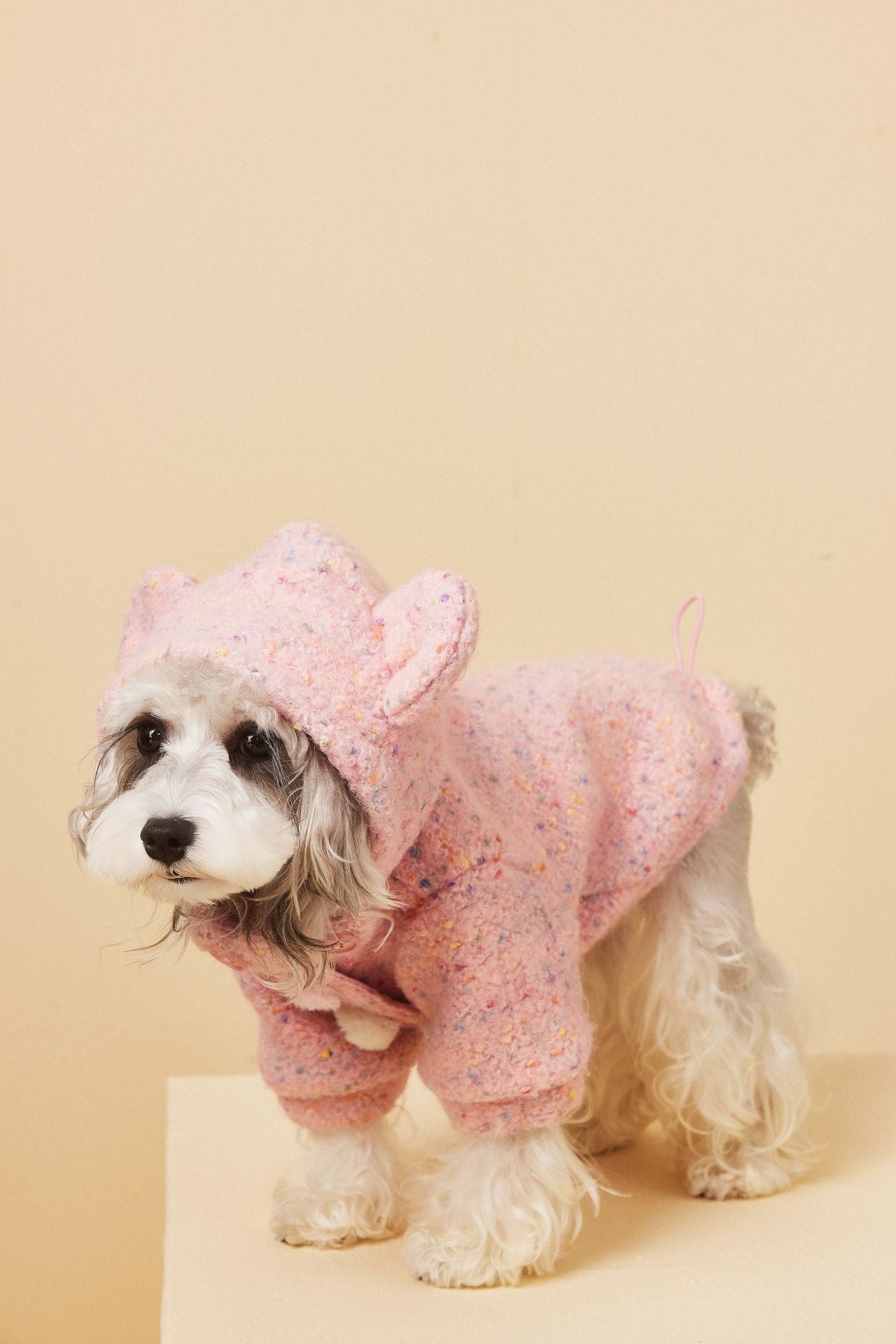 Teddy Ear Wool Hoodie