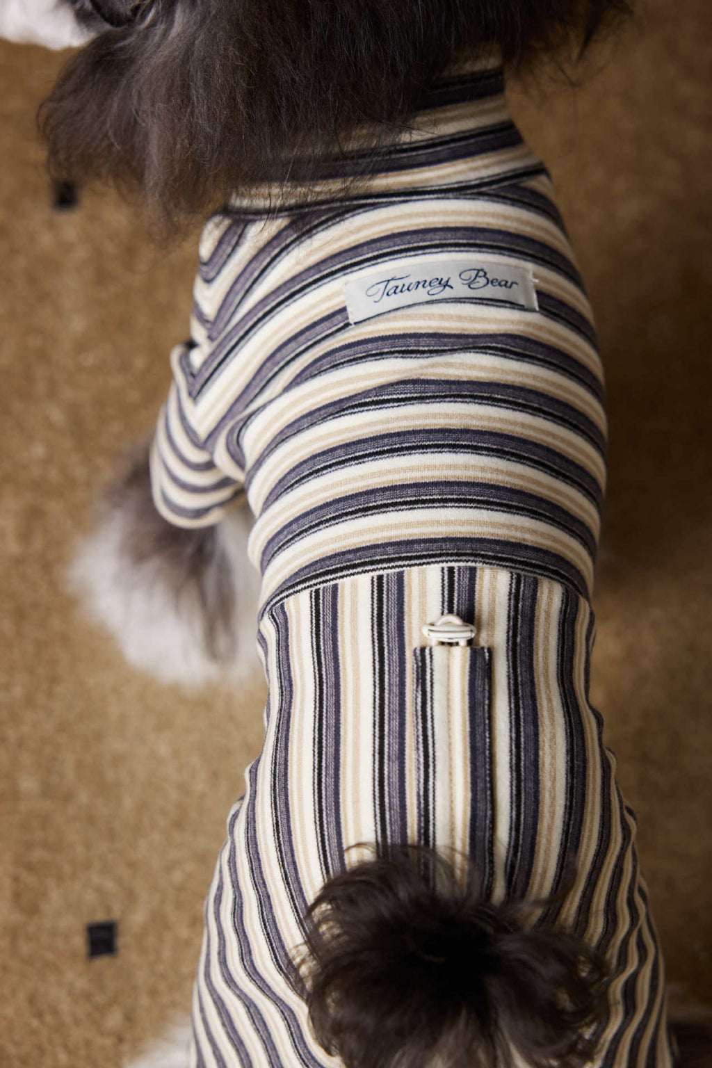 Striped Four-Legged Turtleneck Base Layer