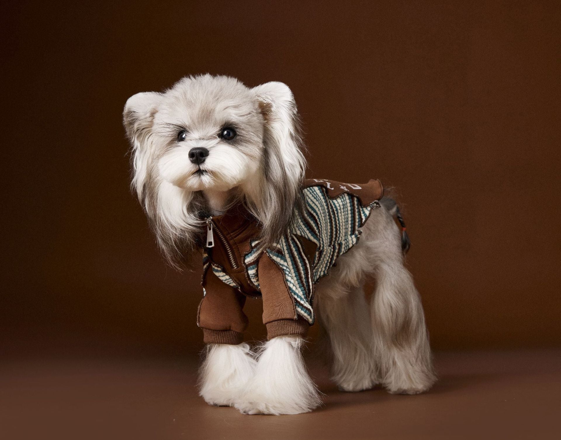 Colorblock Zip-Up Sporty Ruffle Sweatshirt