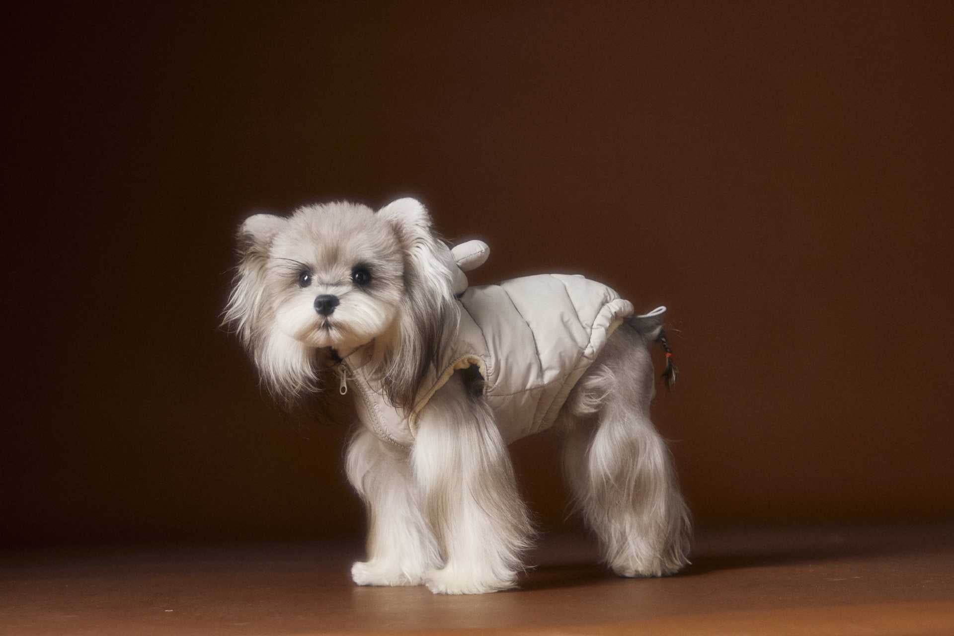 Cozy Bear-Ear Puffer Vest