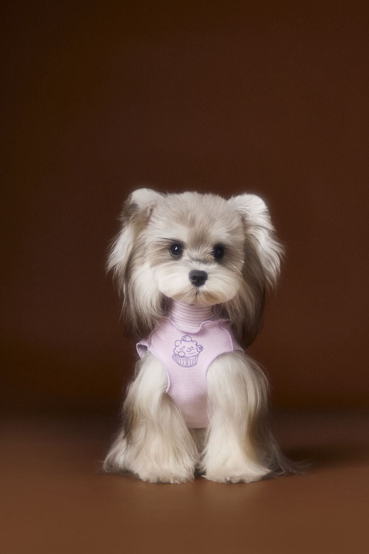 Ruffle Cupcake Dog Vest