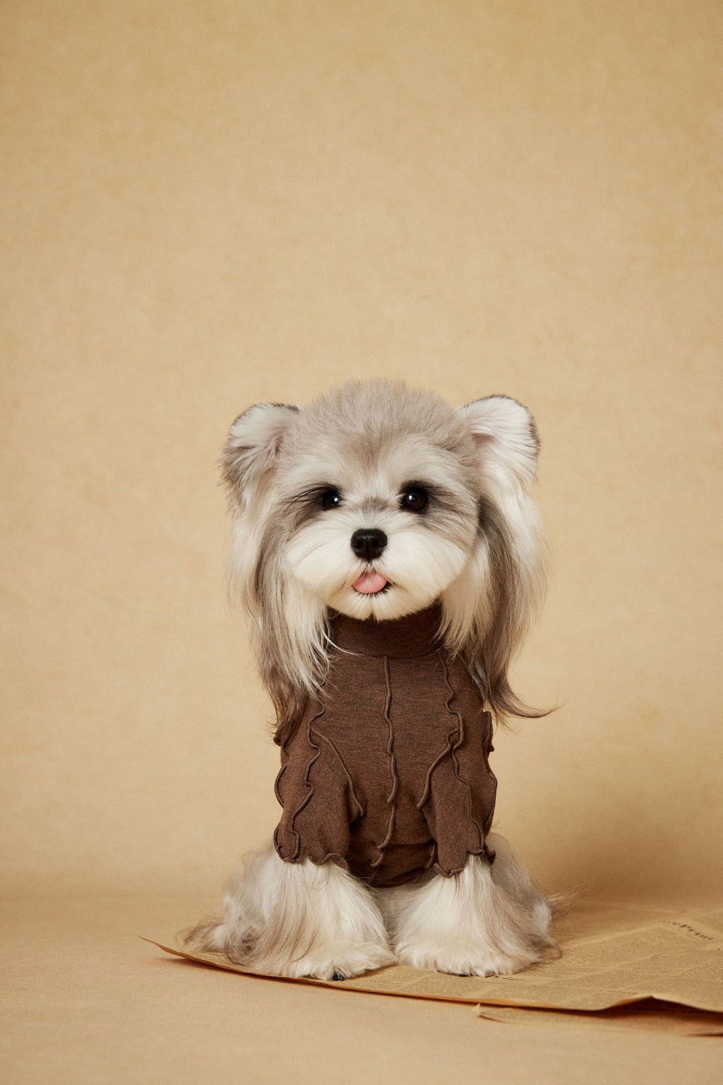 Ruffle Edge Dog Shirt