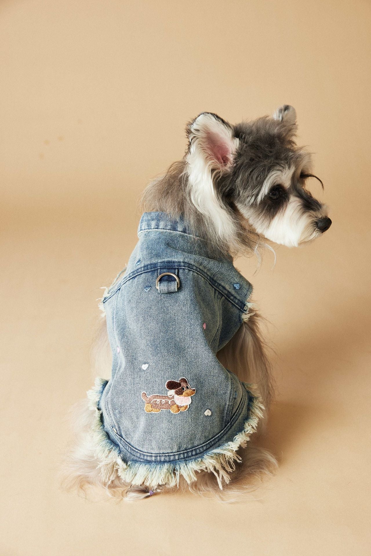 Retro Fringe Denim Vest