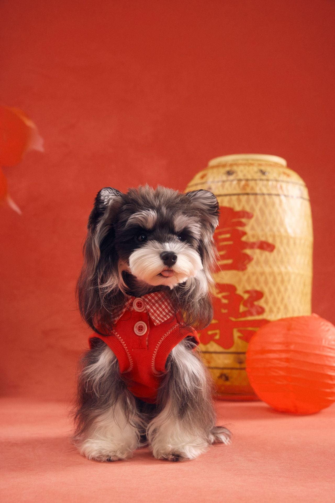 Lucky Get Money Pony Sweat Vest