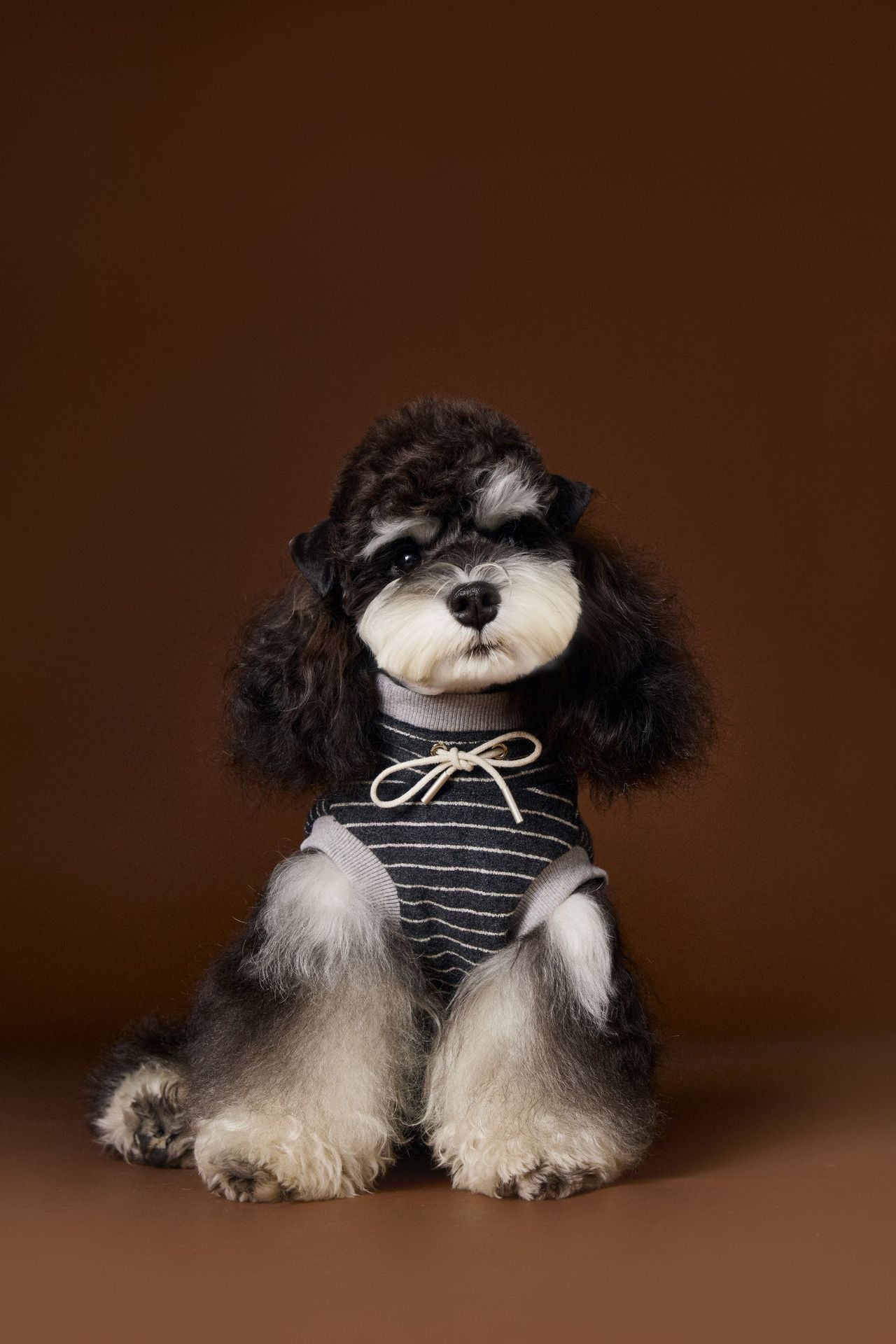 Striped Turtleneck Knit Vest