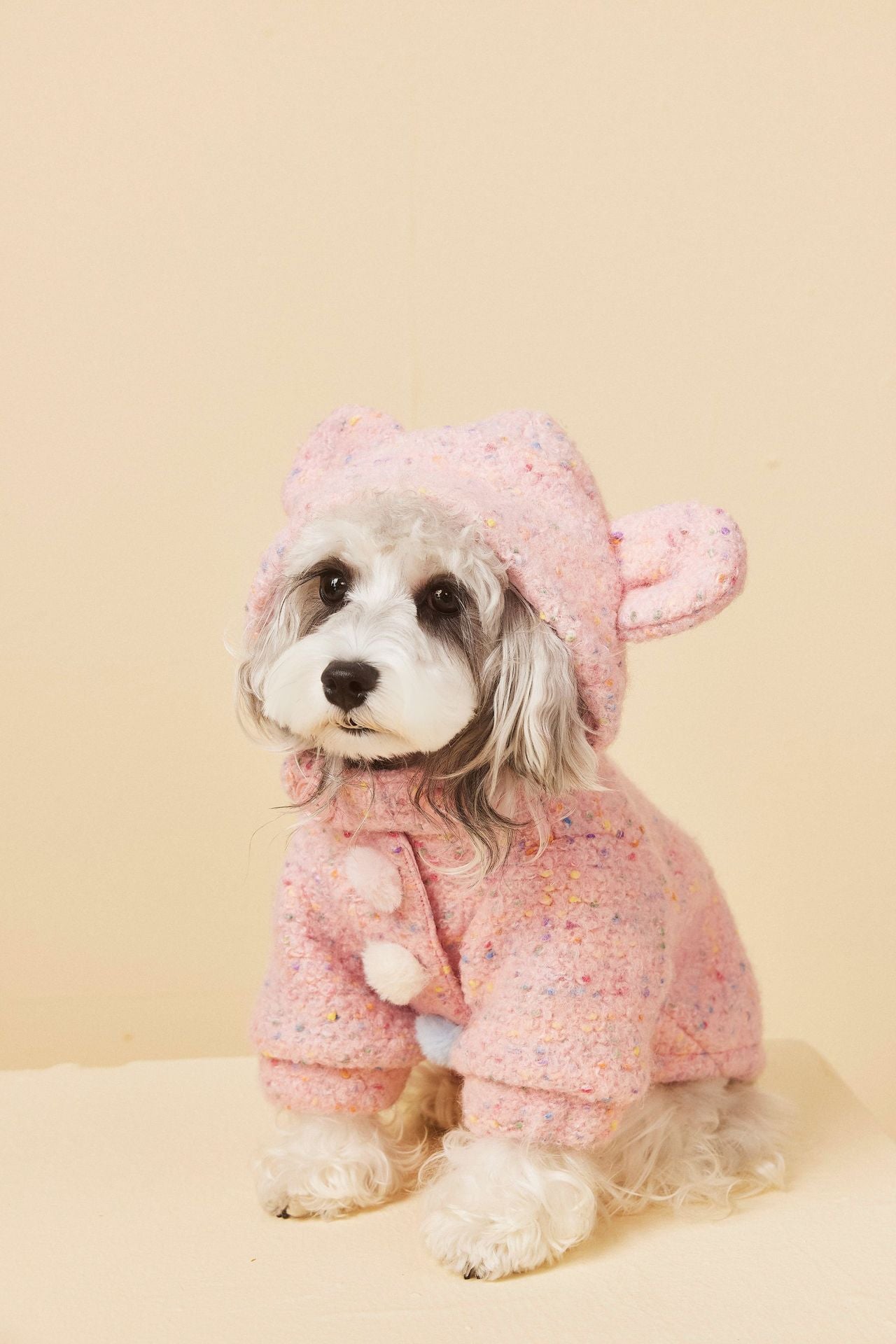 Teddy Ear Wool Hoodie