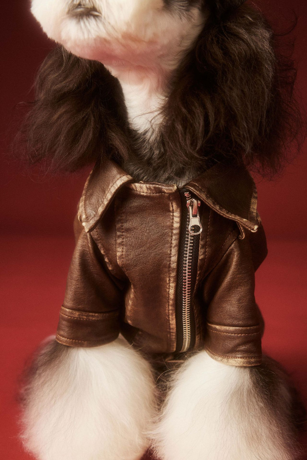 Vintage Biker Faux Leather Jacket
