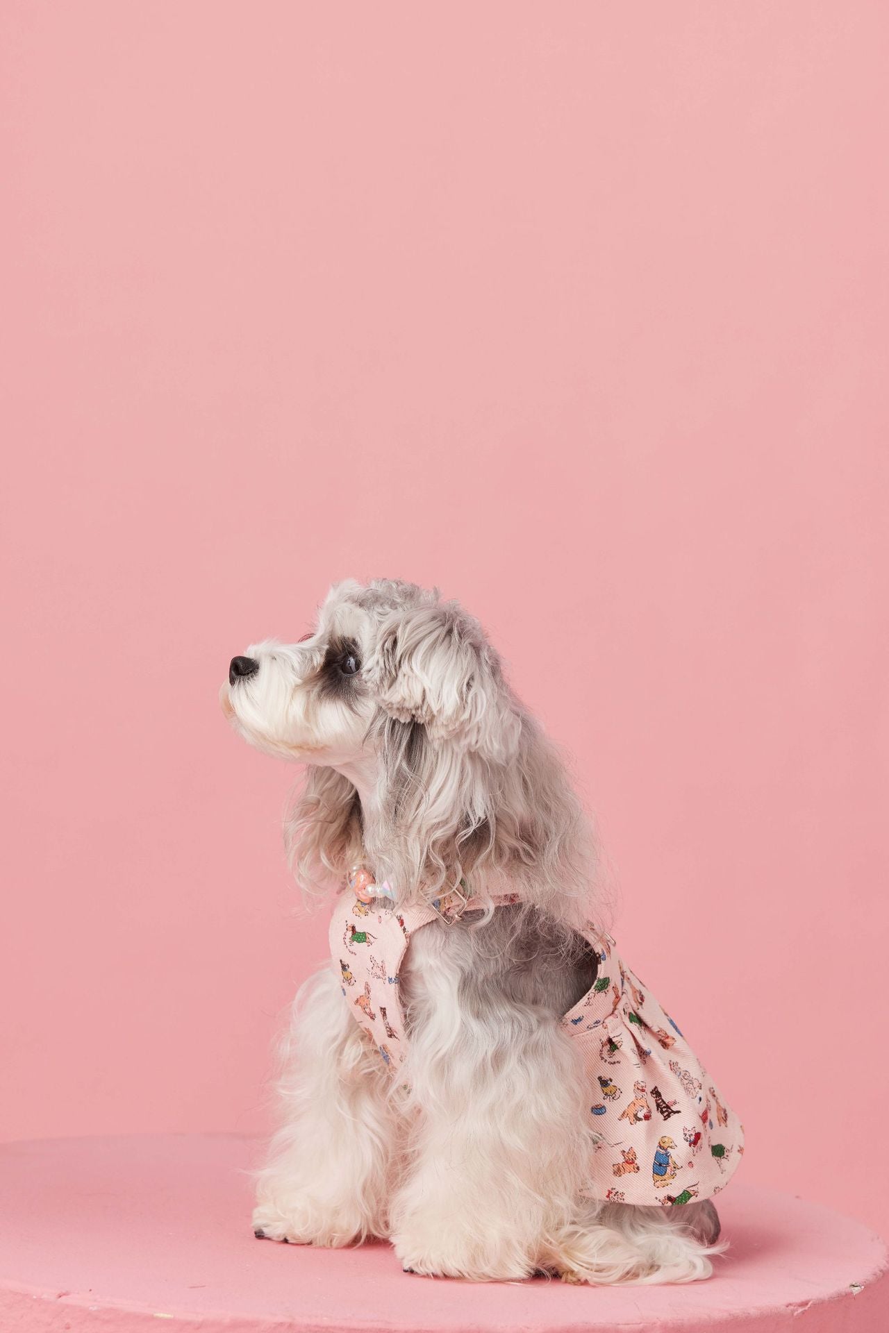 Denim Puppy Print Dress