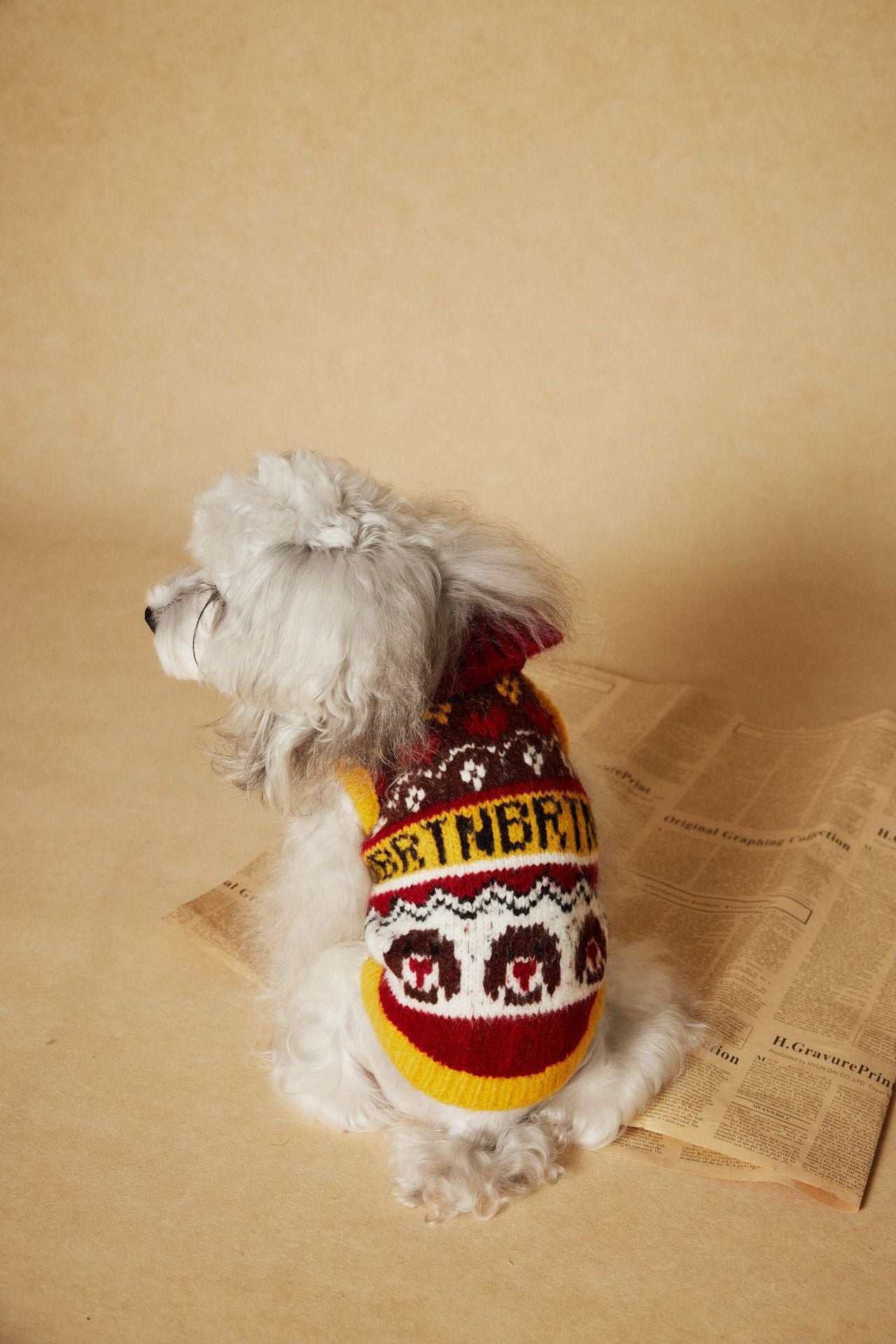 Fair Isle Knit Dog Sweater Vest