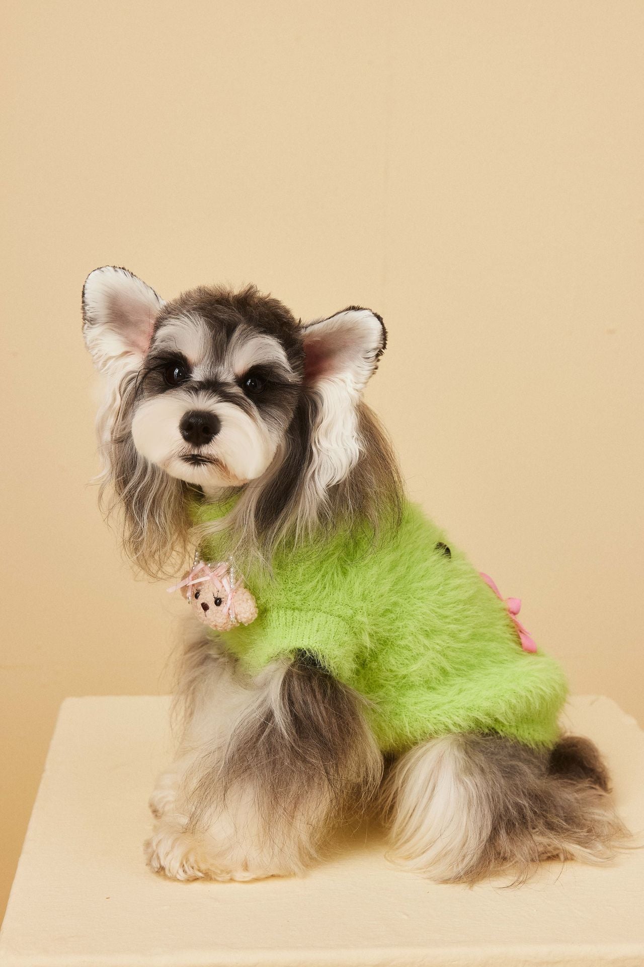 Fluffy Knit Dog Vest with Teddy Face