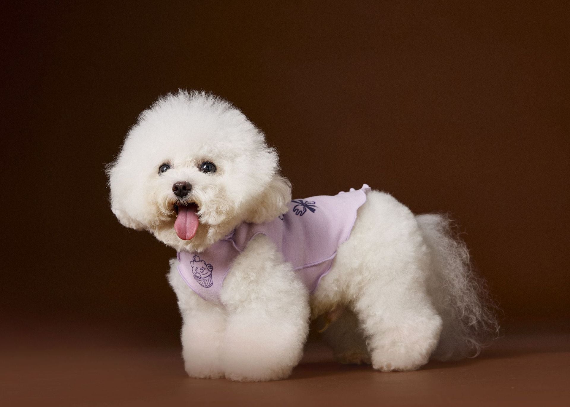 Ruffle Cupcake Dog Vest