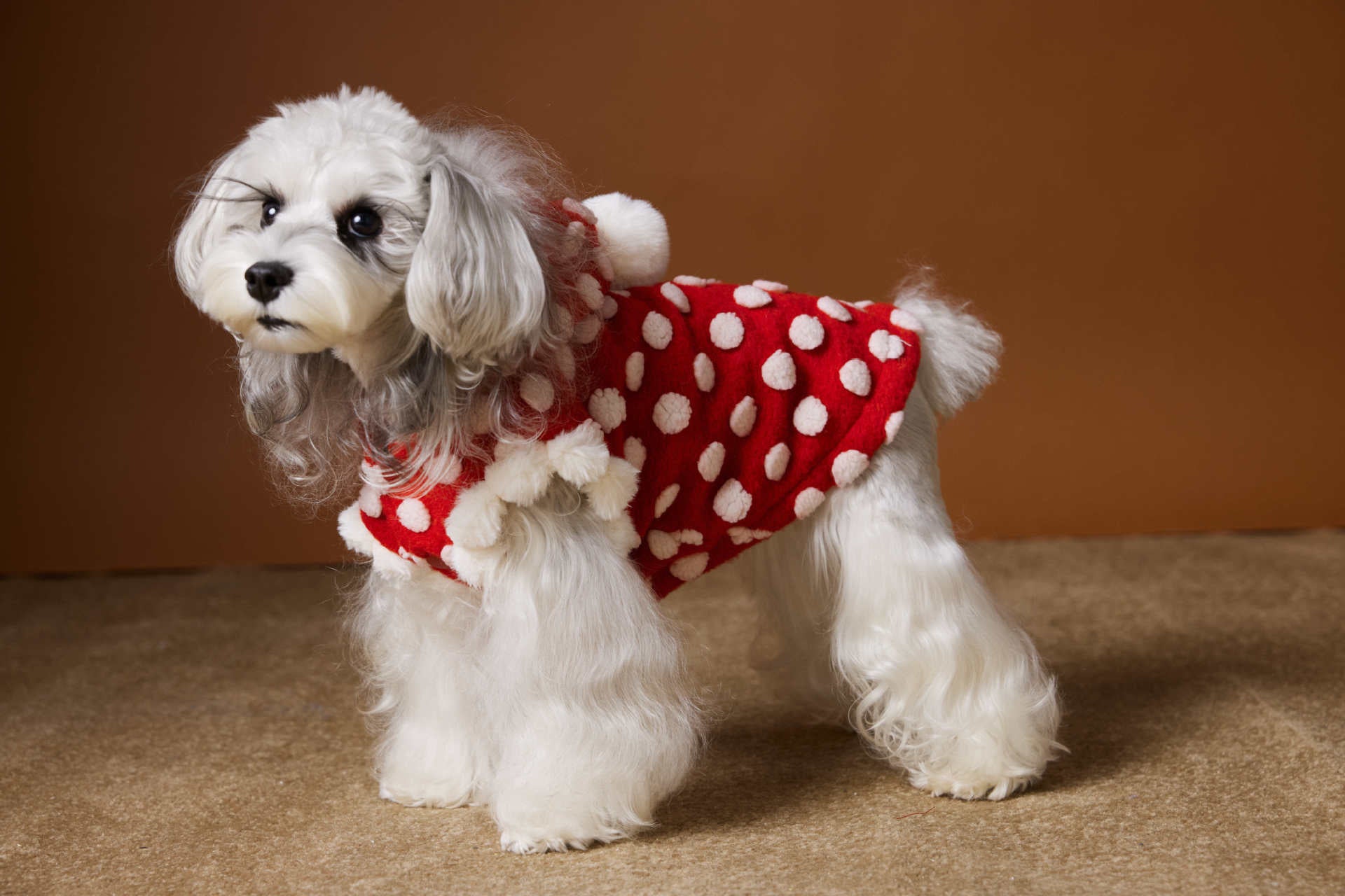 Polka Dot Hooded Fleece Vest