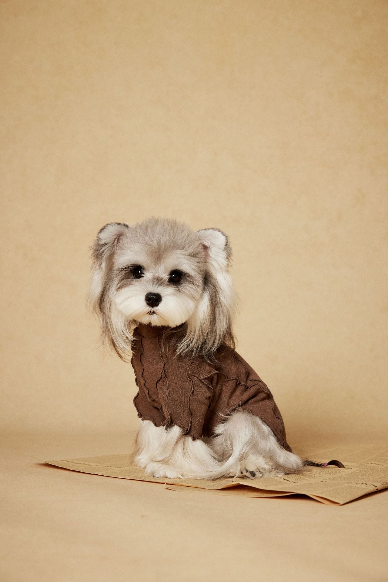 Ruffle Edge Dog Shirt