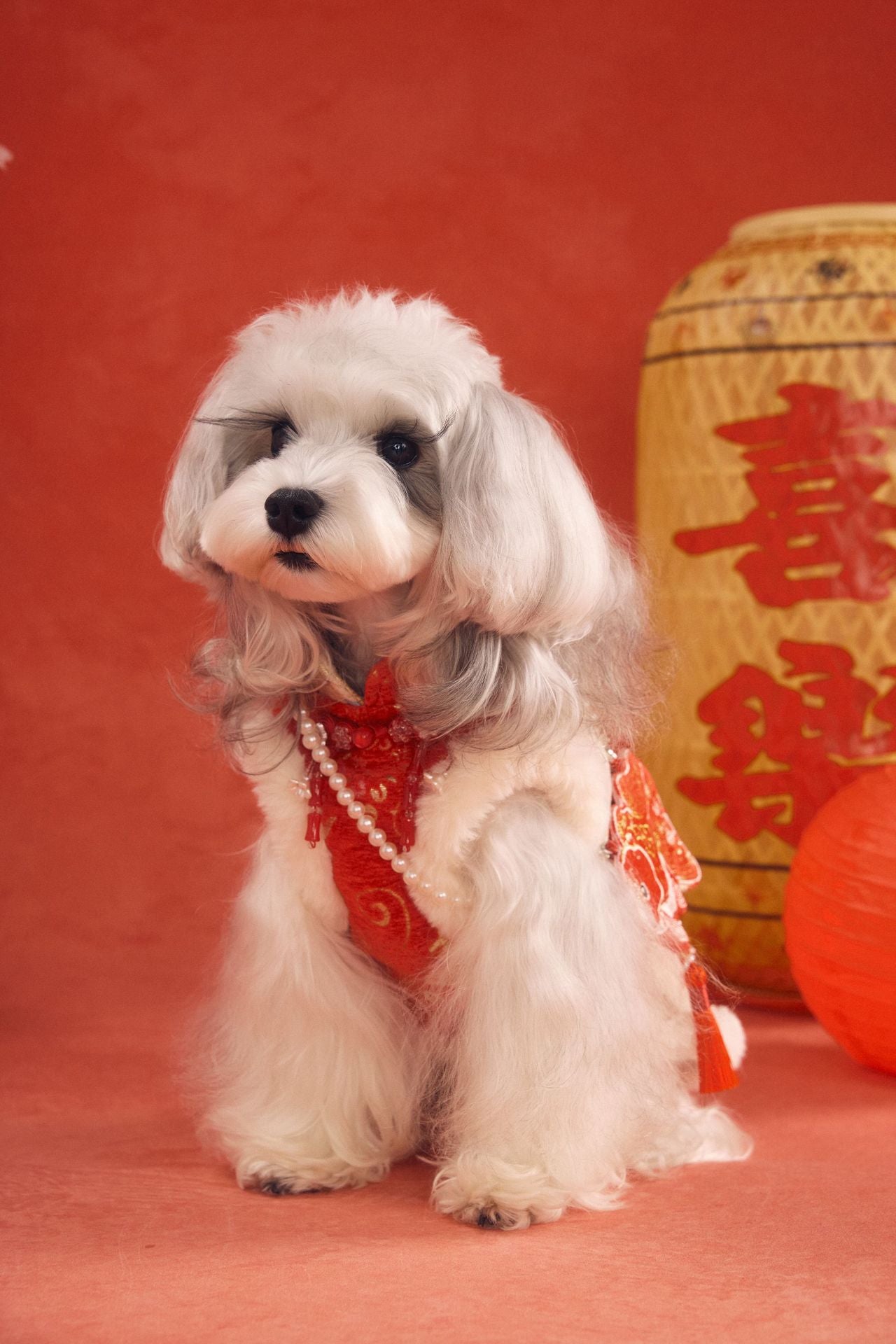 Festive Goldfish Brocade New Year Vest