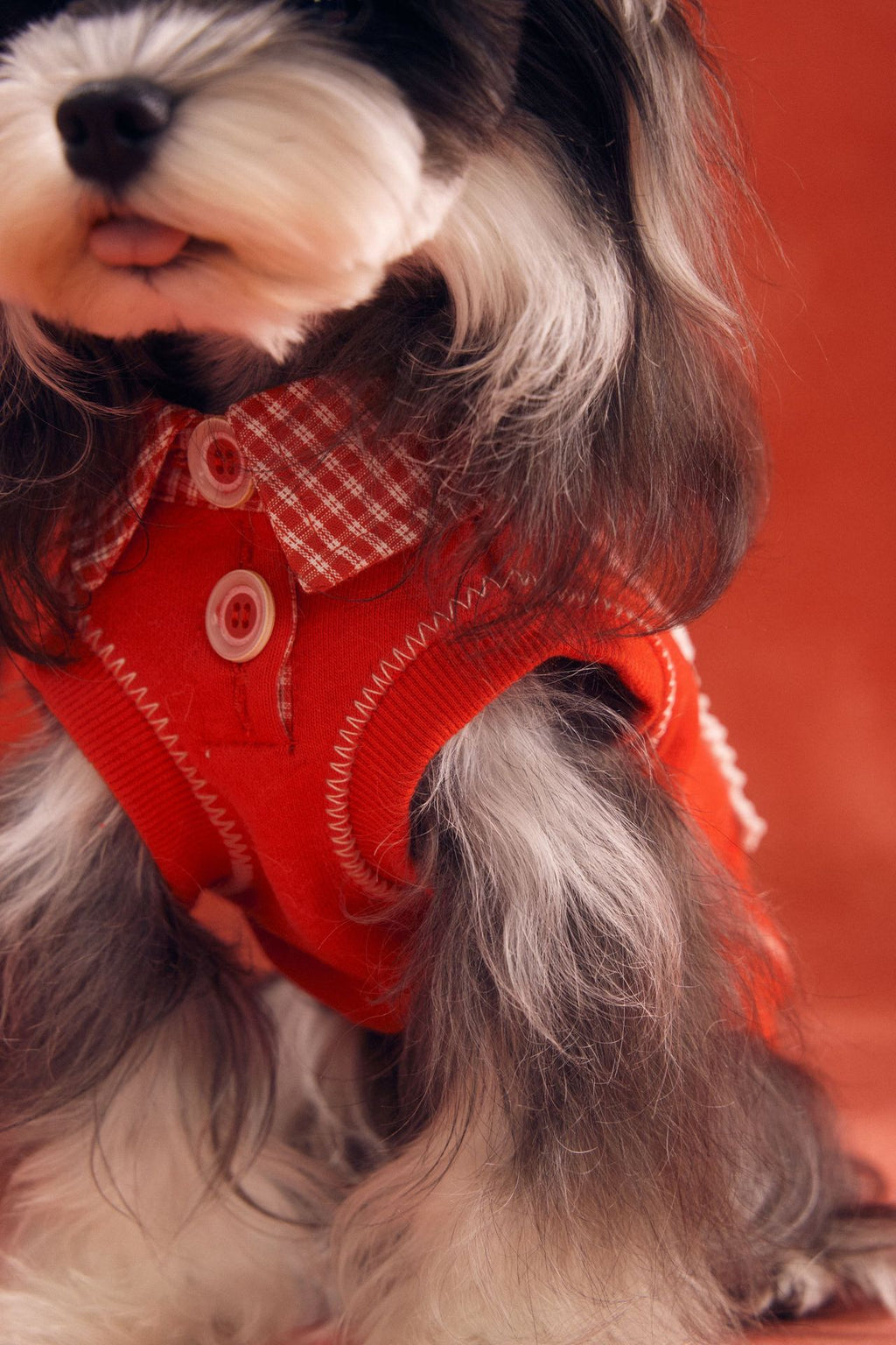 Lucky Get Money Pony Sweat Vest