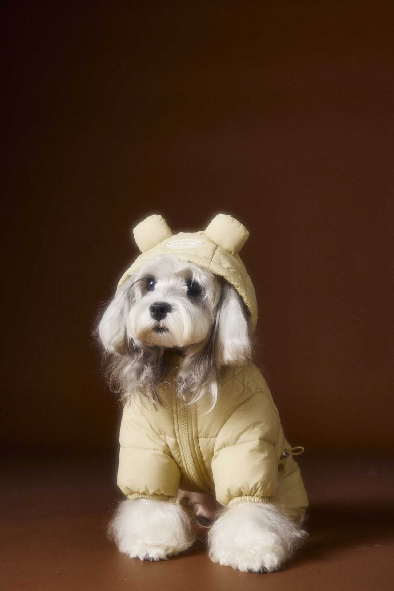 Teddy Ear Puffer Jumpsuit