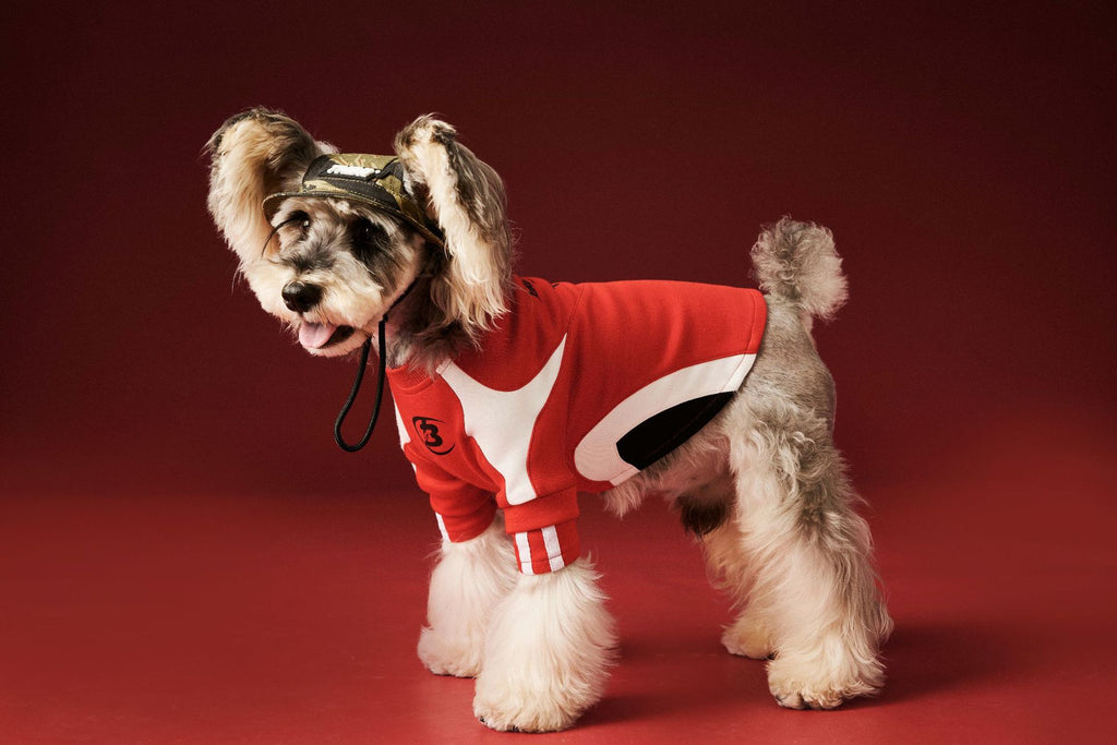 Moto Style Sweatshirt for Dogs