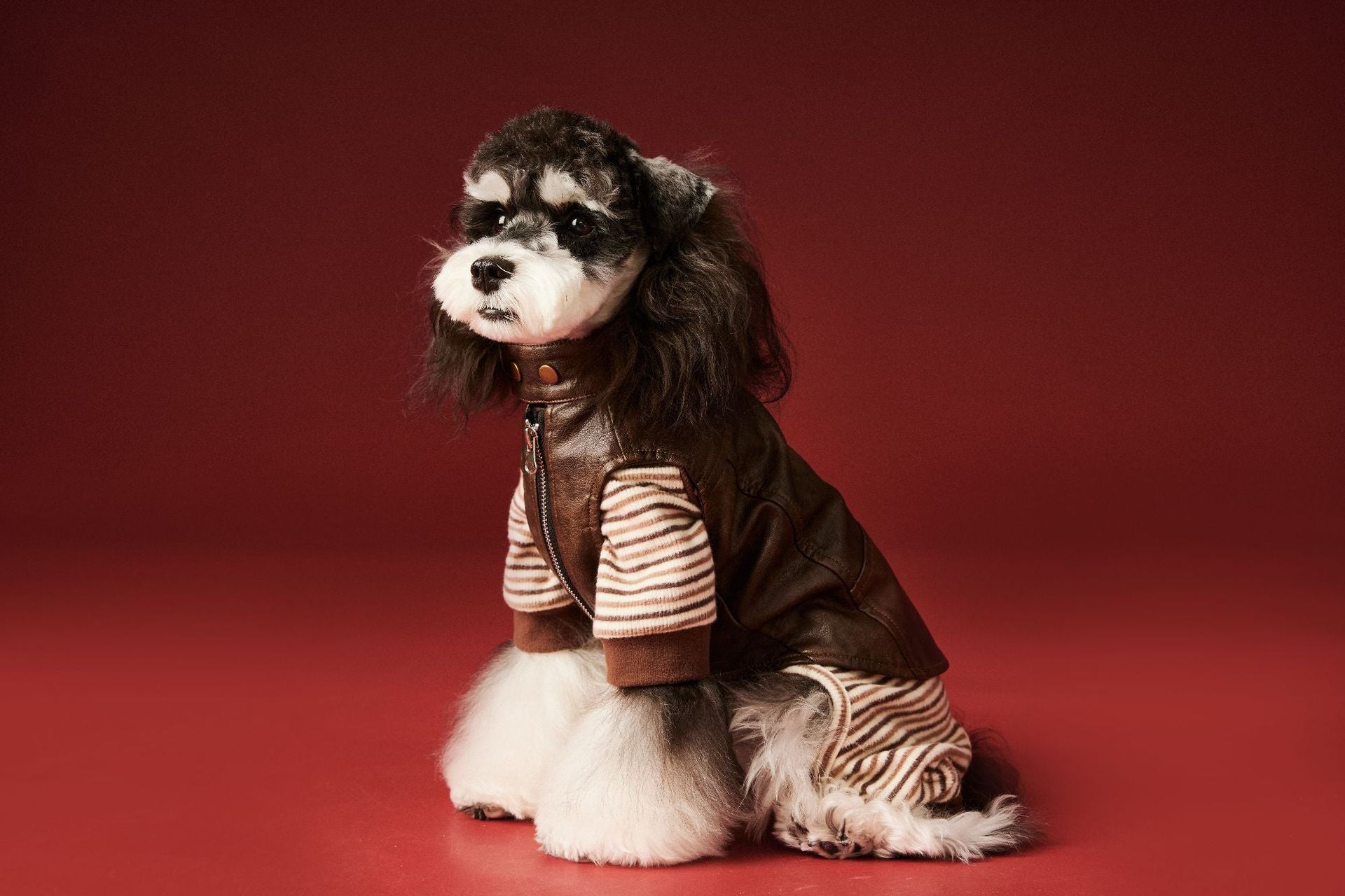 Striped Cozy Four-Leg Base Layer