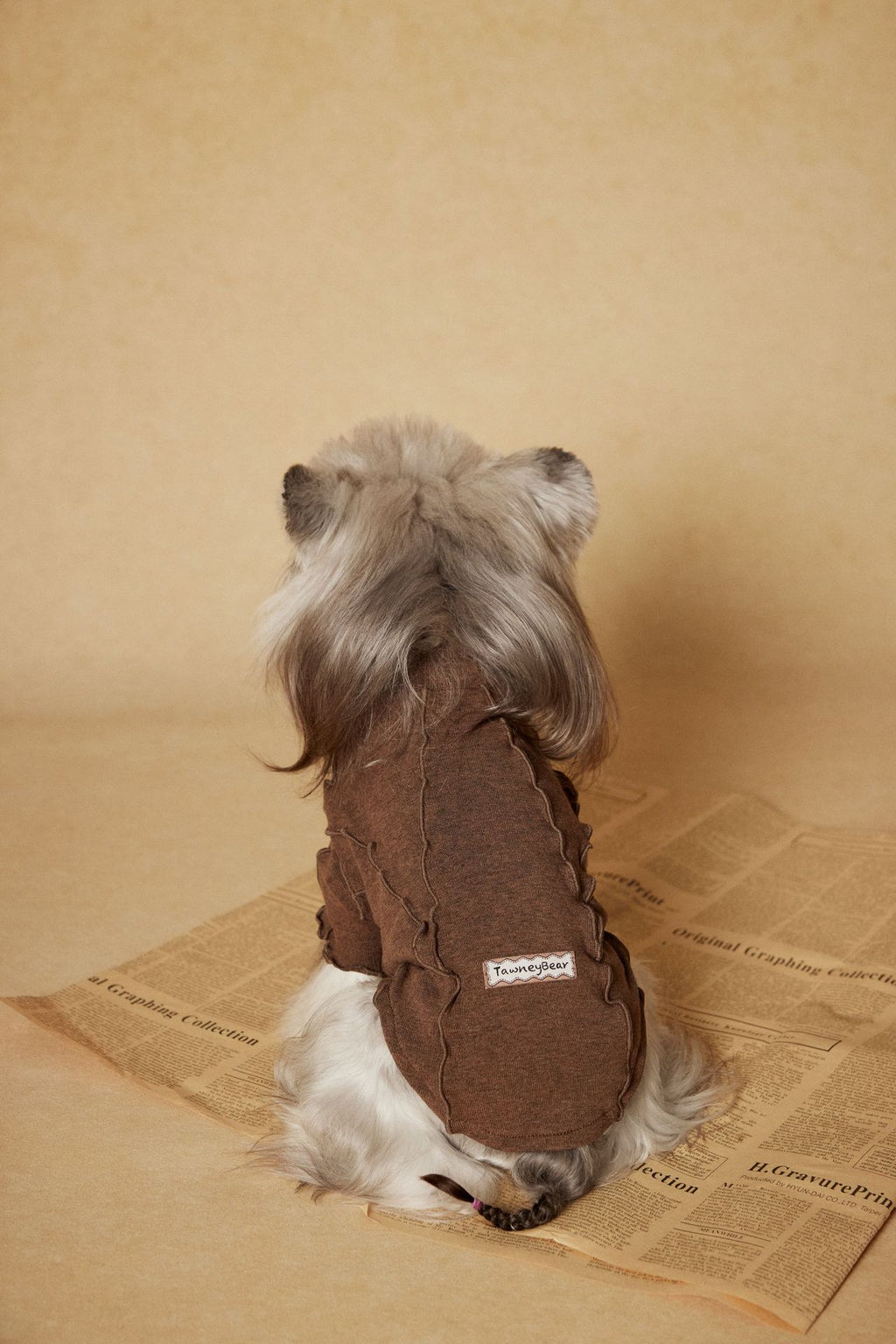 Ruffle Edge Dog Shirt