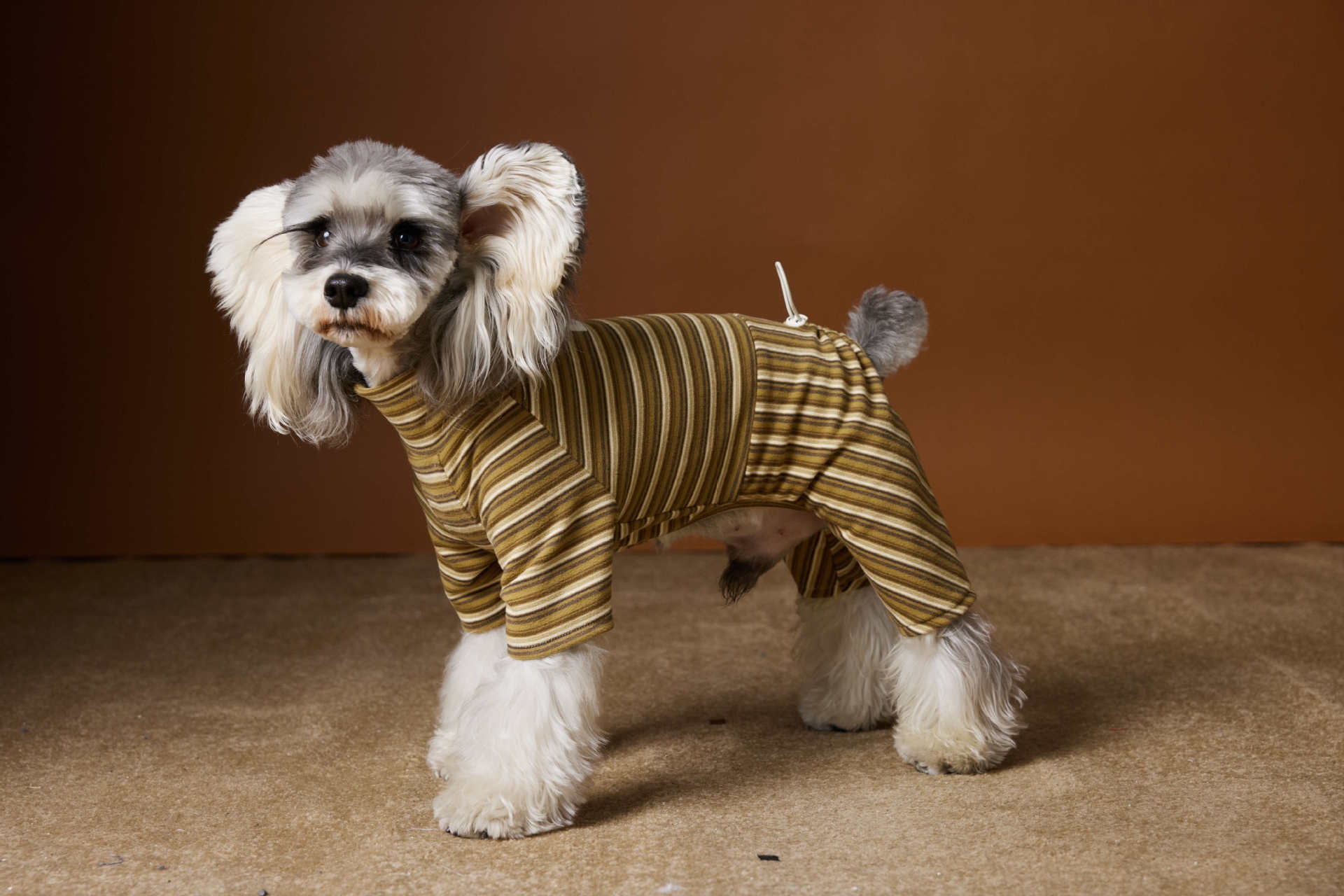 Striped Four-Legged Turtleneck Base Layer