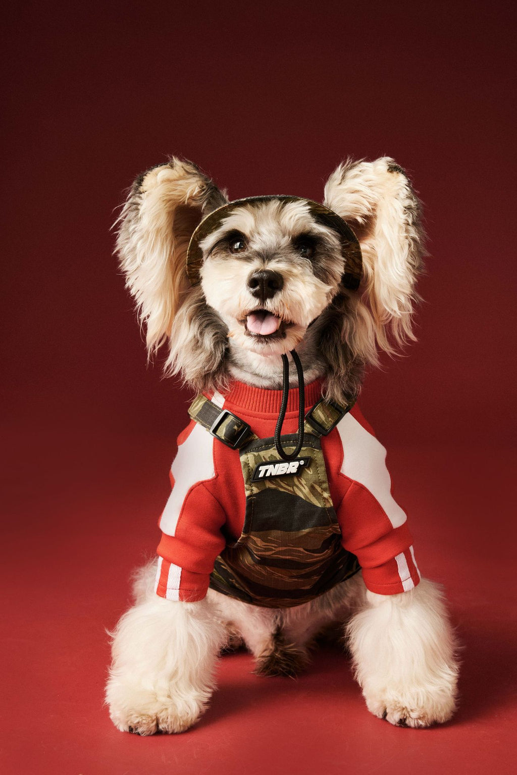 Moto Style Sweatshirt for Dogs