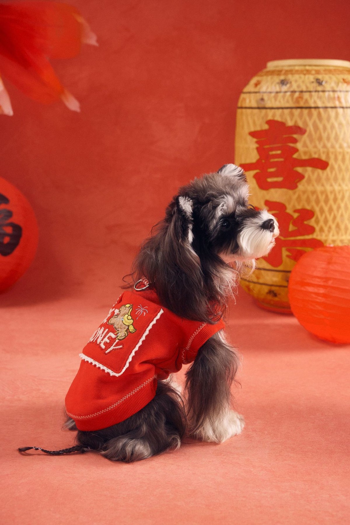 Lucky Get Money Pony Sweat Vest